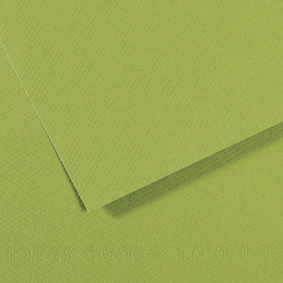 Canson Mi-Teintes Drawing Paper - 19" x 25", Apple Green, Single Sheet