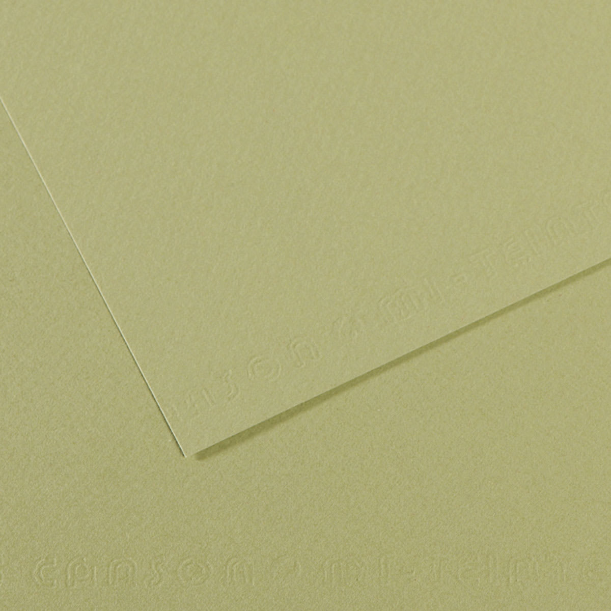 Canson Mi-Teintes Drawing Paper - 19" x 25", Light Green, Single Sheet