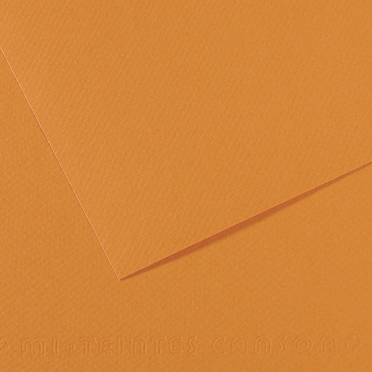Canson Mi-Teintes Drawing Paper - 19" x 25", Buff, Single Sheet
