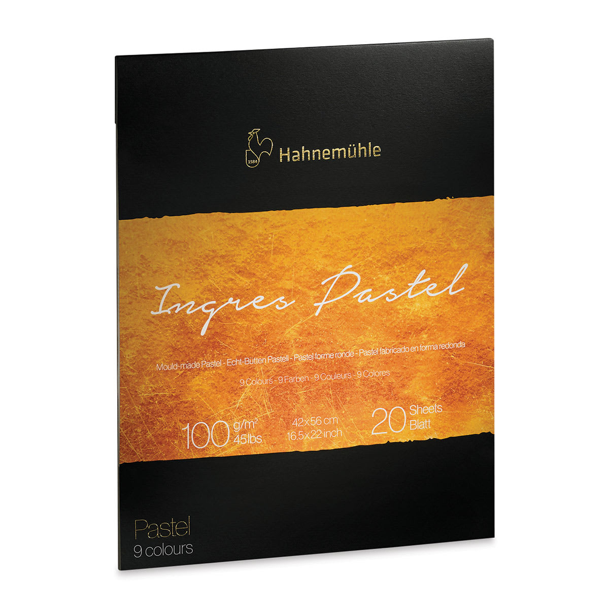 Hahnemühle Ingres Pad - 16.5" x 22", Assorted, 20 Sheets
