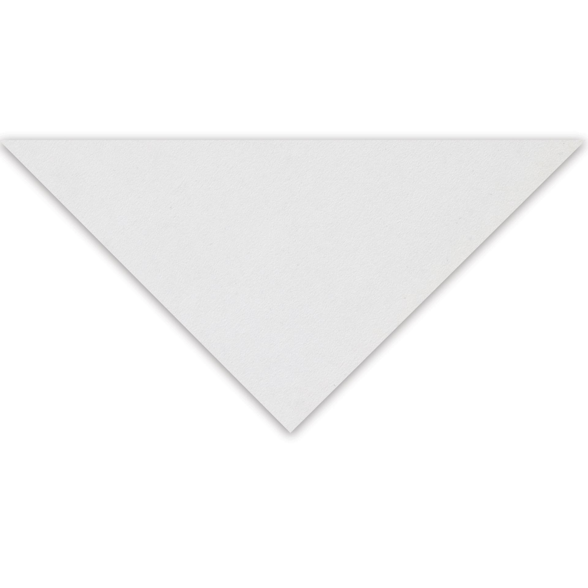 Clairefontaine Pastelmat Sheet - 9-1/2" x 12-1/2", White, 1 Sheet