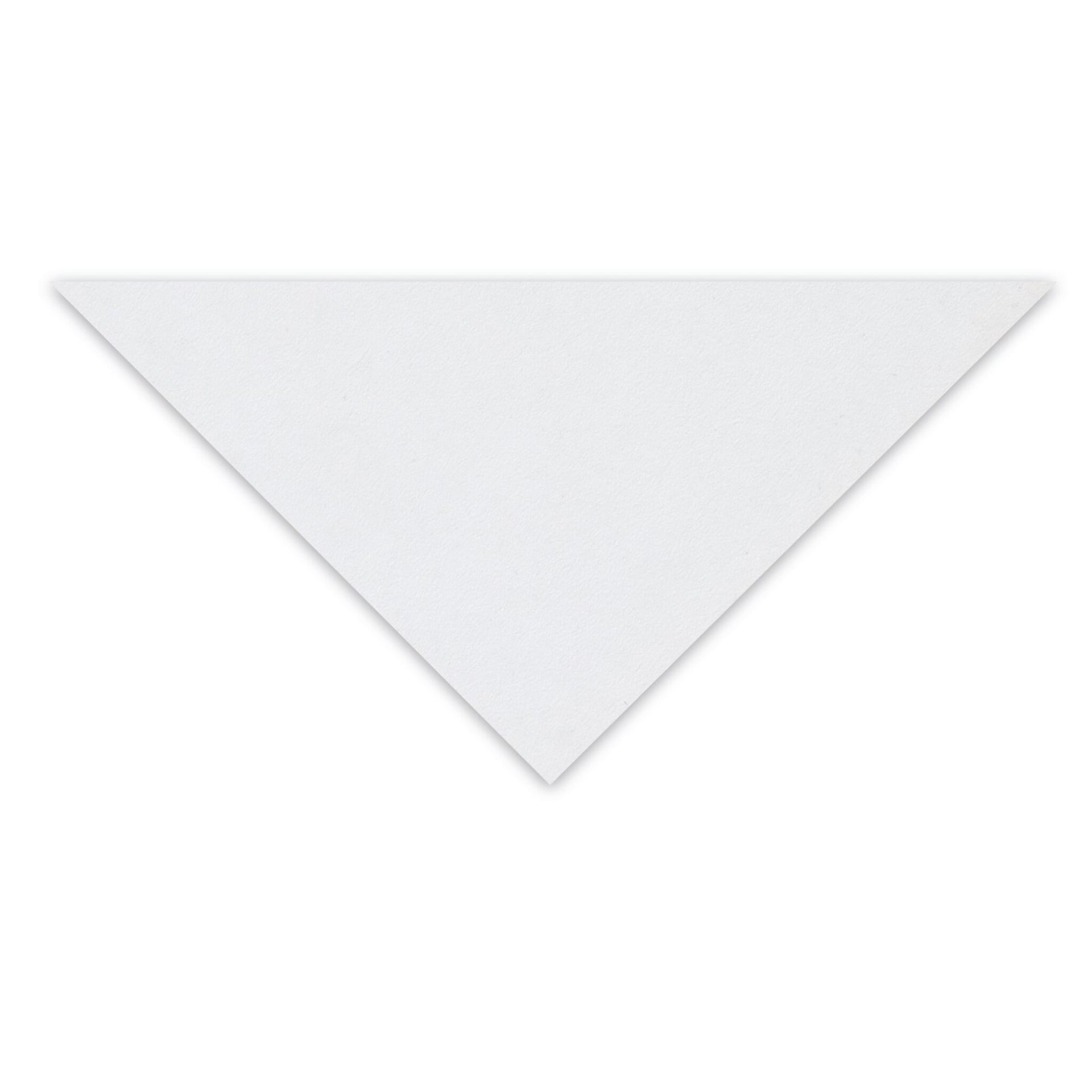 Clairefontaine Pastelmat Sheet - 27-1/2" x 39-1/2", White, 1 Sheet