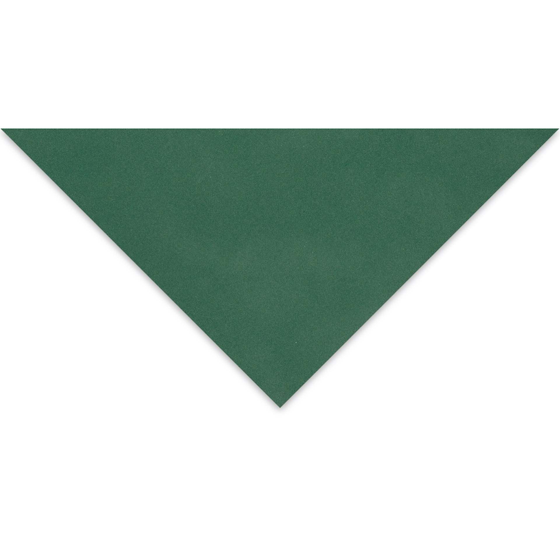 Clairefontaine Pastelmat Sheet - 9-1/2" x 12-1/2", Dark Green, 1 Sheet