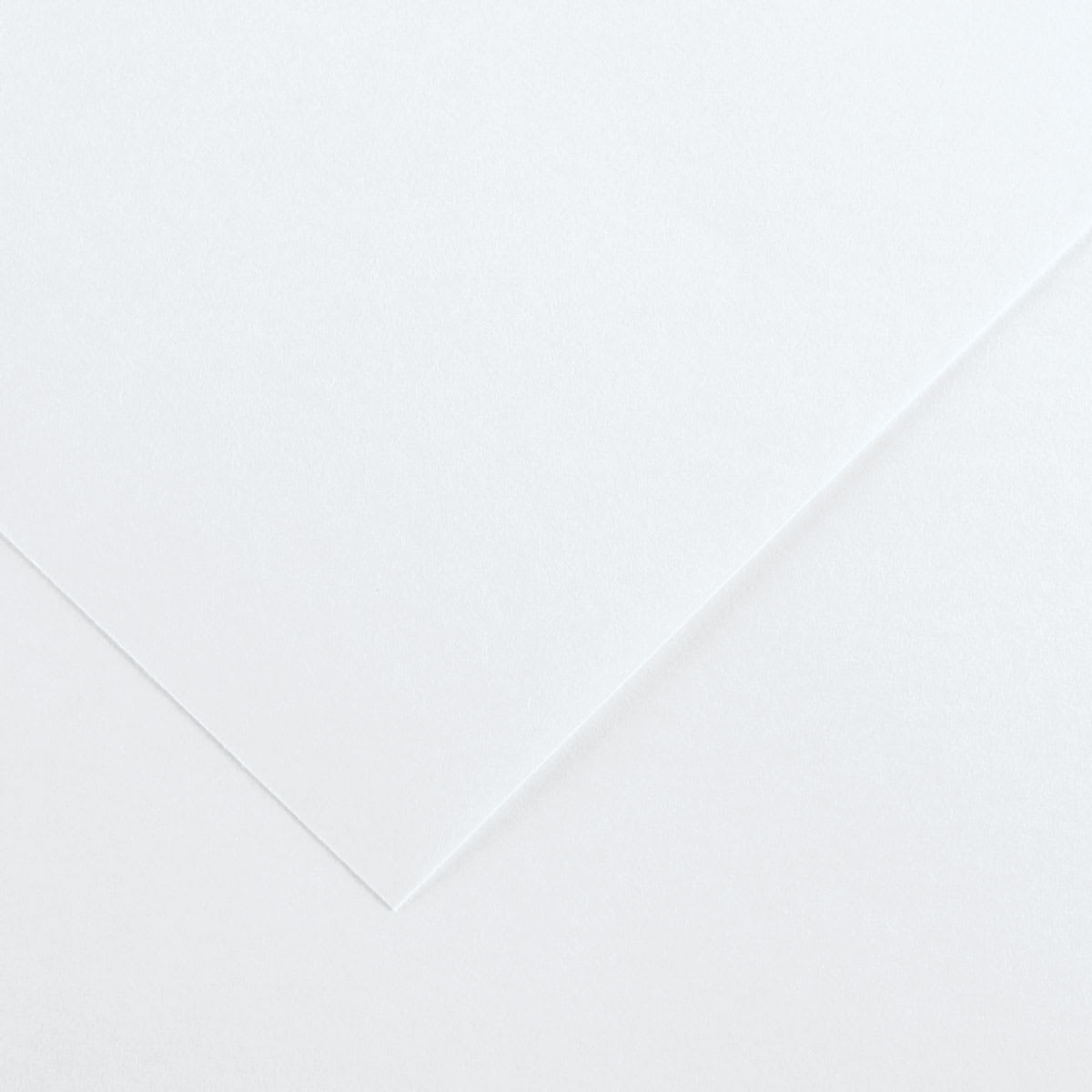 Canson Colorline Art Paper - 19" x 25", 300 gsm, Pearl White