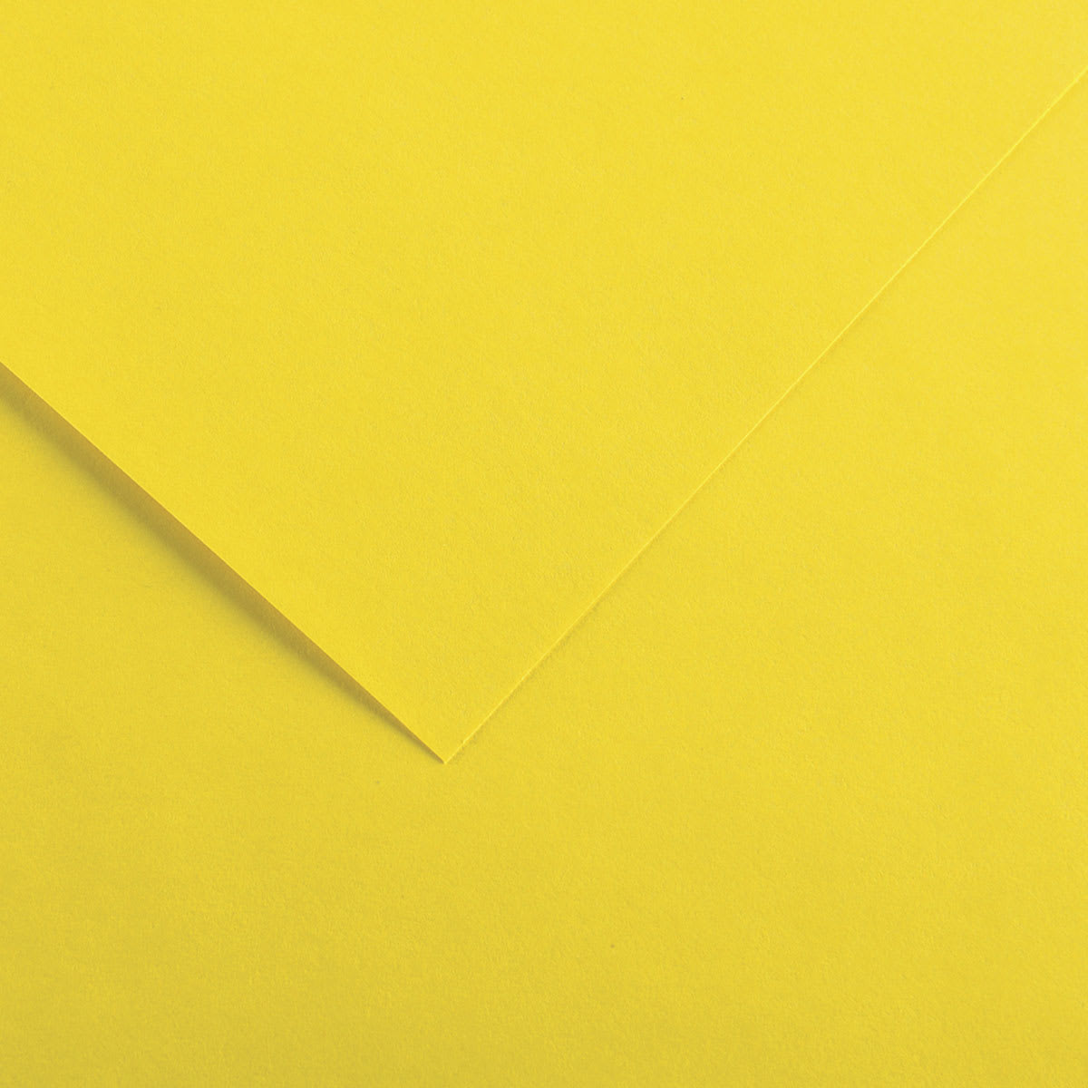Canson Colorline Art Paper - 19" x 25", 300 gsm, Canary Yellow
