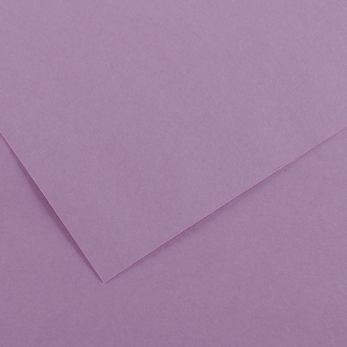 Canson Colorline Art Paper - 19" x 25", 150 gsm, Lilac