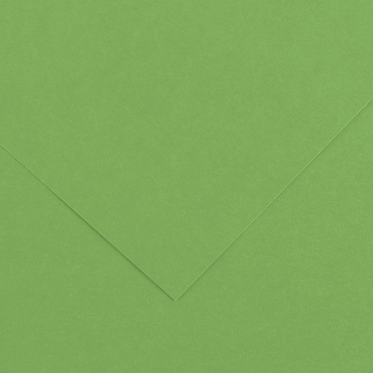 Canson Colorline Art Paper - 19" x 25", 150 gsm, Bright Green