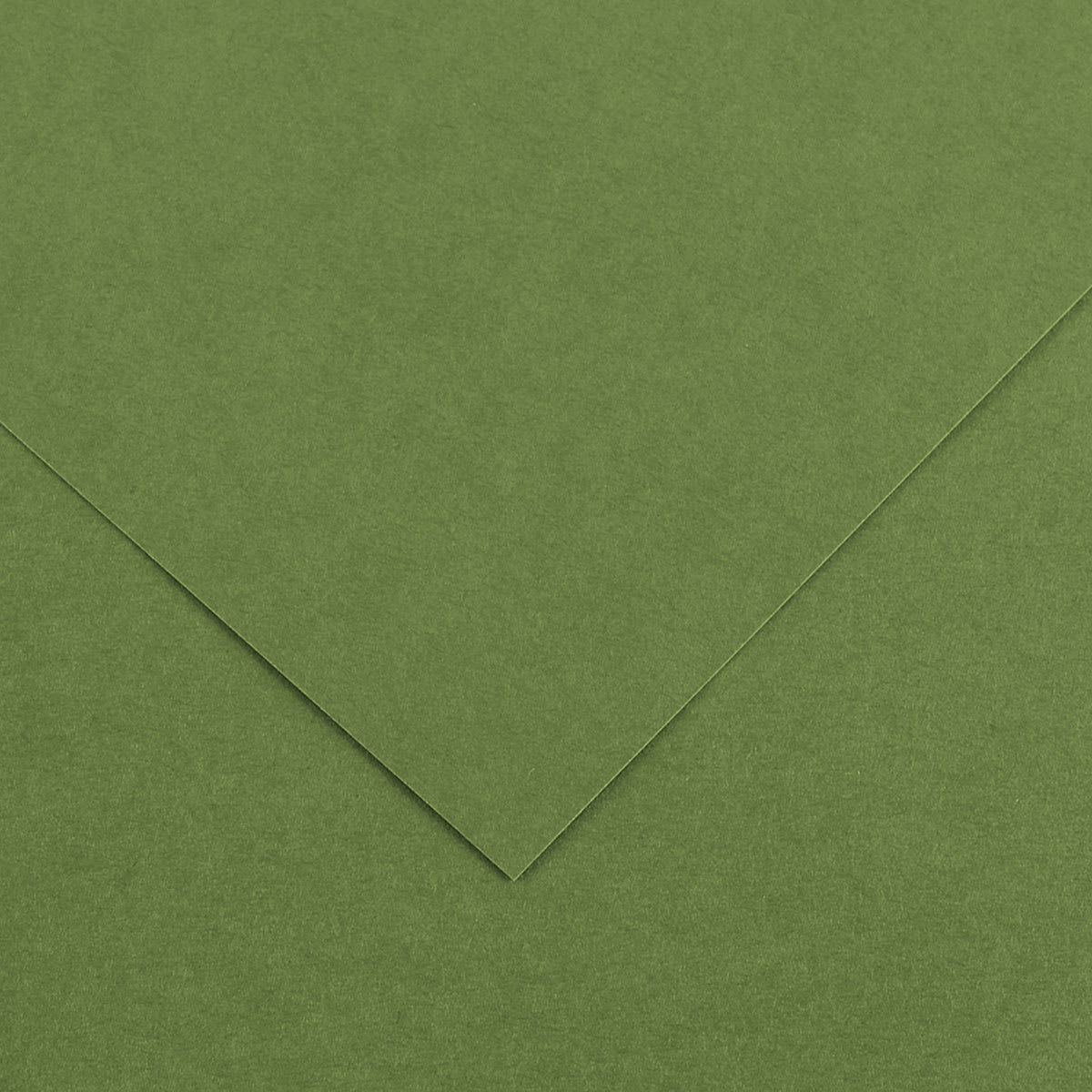Canson Colorline Art Paper - 19" x 25", 300 gsm, Khaki Green
