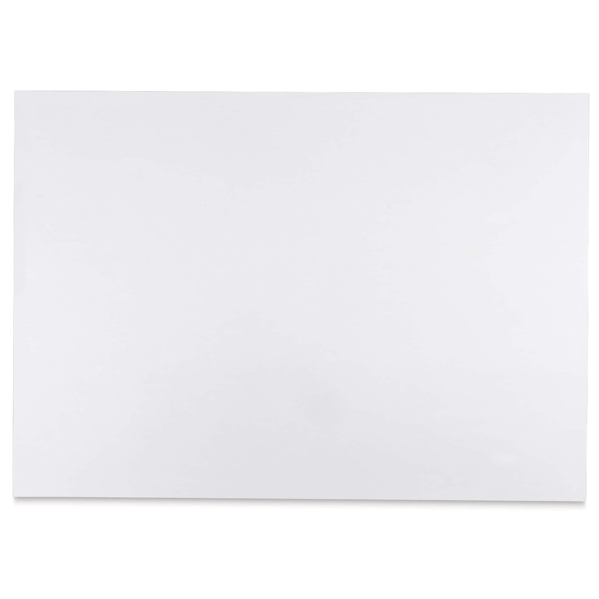 Blick Premium Construction Paper - 19-1/2" x 27-1/2", White, Single Sheet
