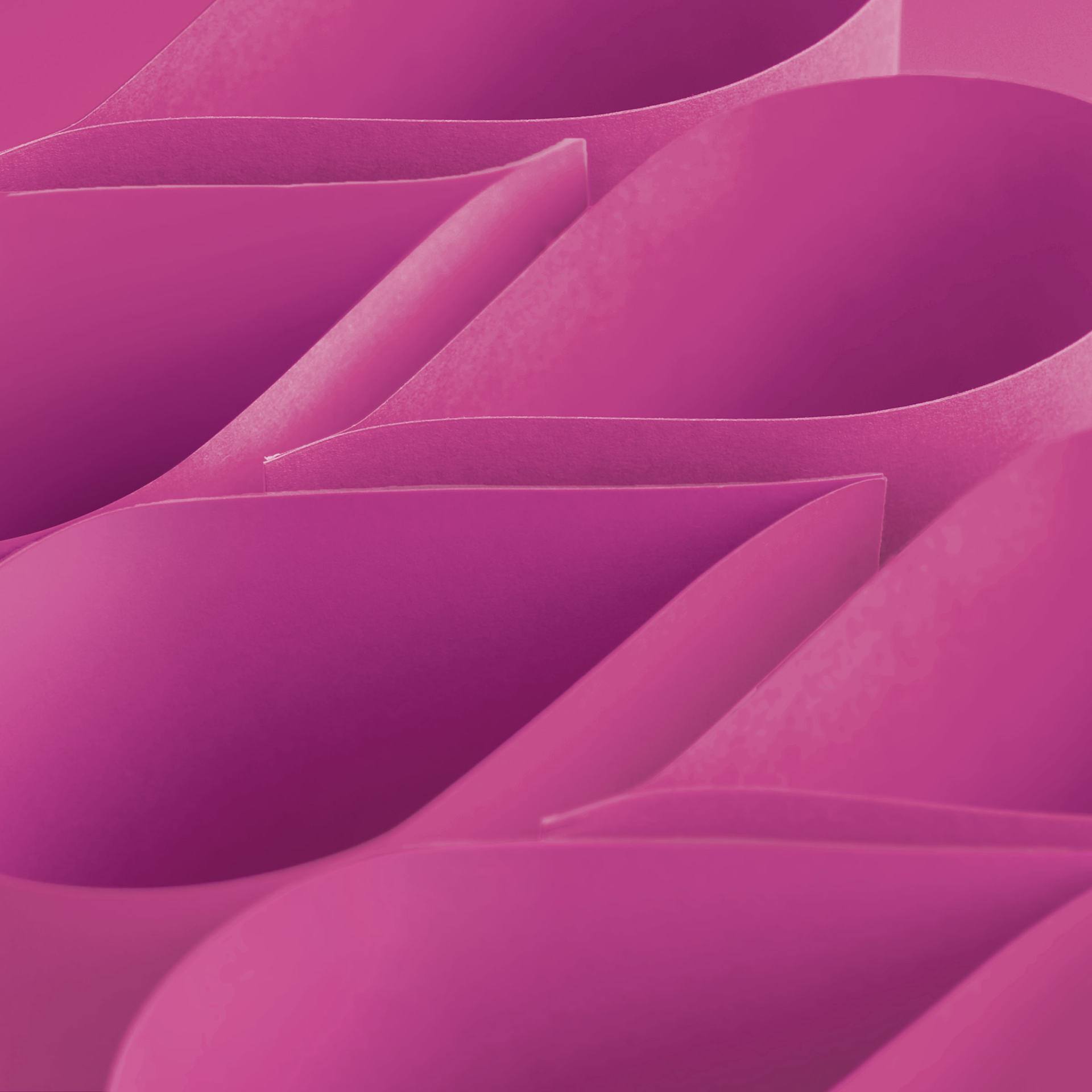 Blick Premium Construction Paper - 19-1/2" x 27-1/2", Magenta, Single Sheet, curved sheets