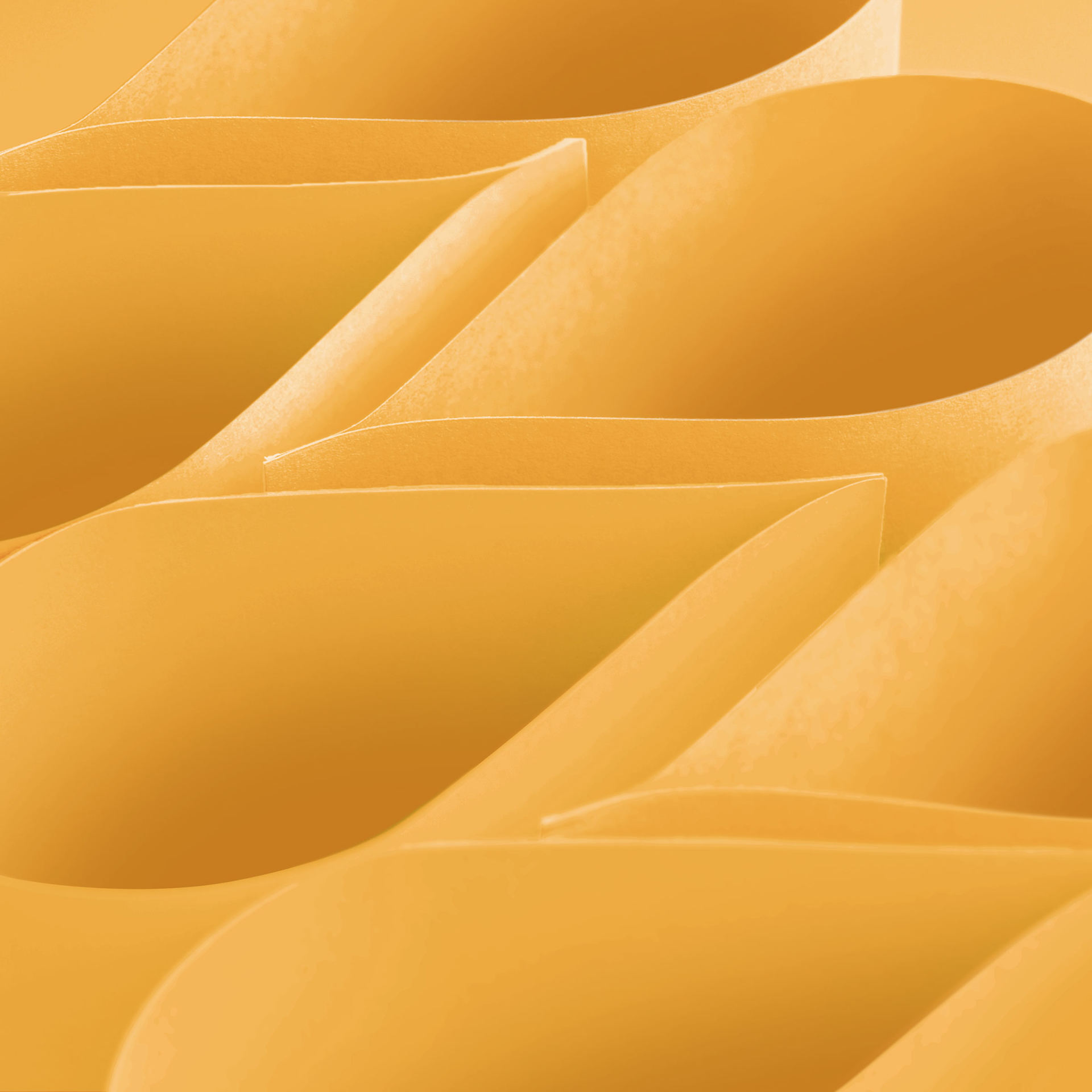 Blick Premium Construction Paper - 19-1/2" x 27-1/2", Yellow Orange, curved sheets