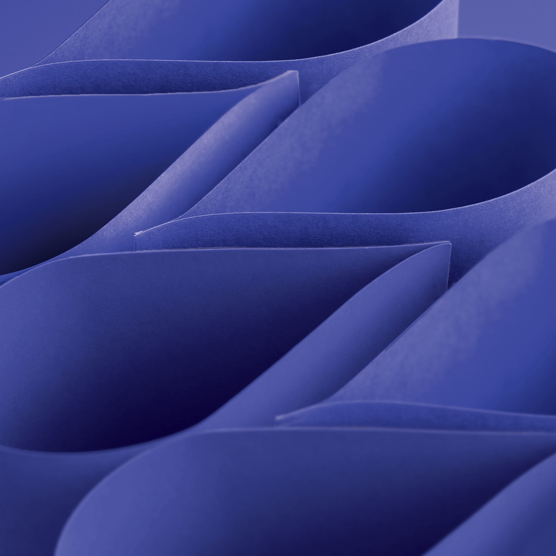 Blick Premium Construction Paper - 19-1/2" x 27-1/2", Ultramarine, Single Sheet, curved sheets