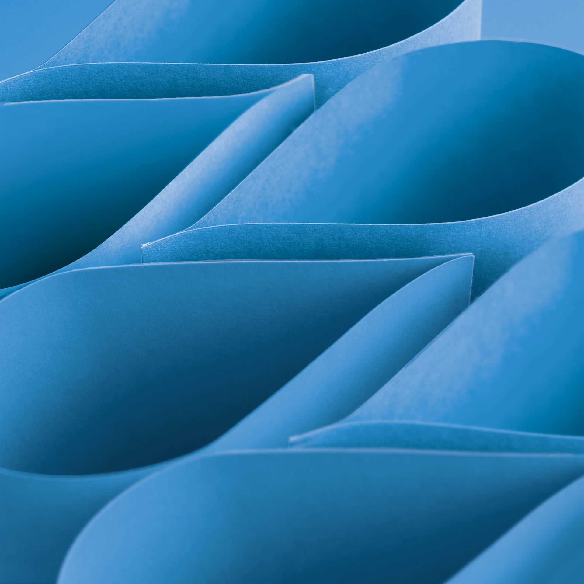Blick Premium Construction Paper - 19-1/2" x 27-1/2", Turquoise, curved sheets