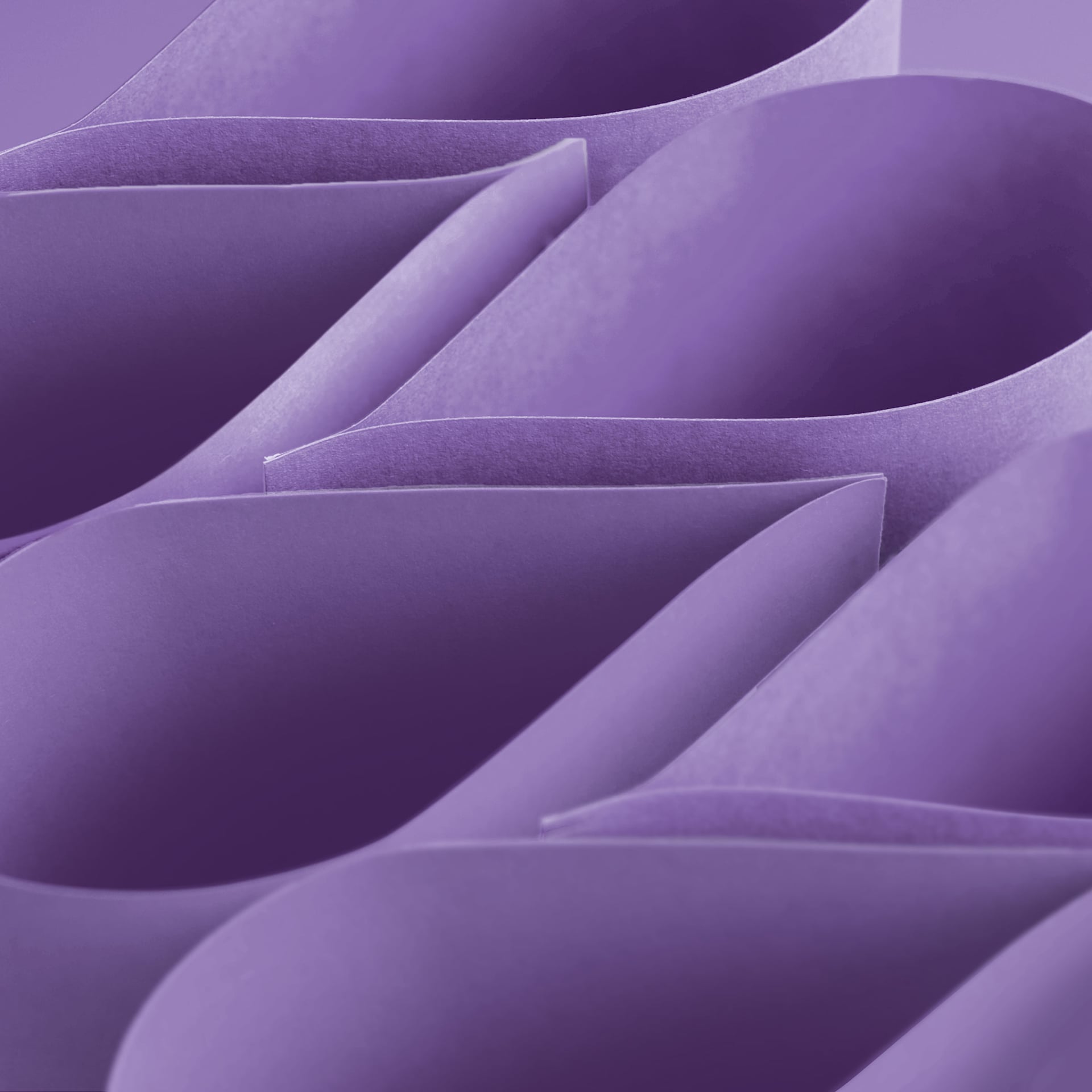 Blick Premium Construction Paper - 19-1/2" x 27-1/2", Violet, Single Sheet, curved sheets