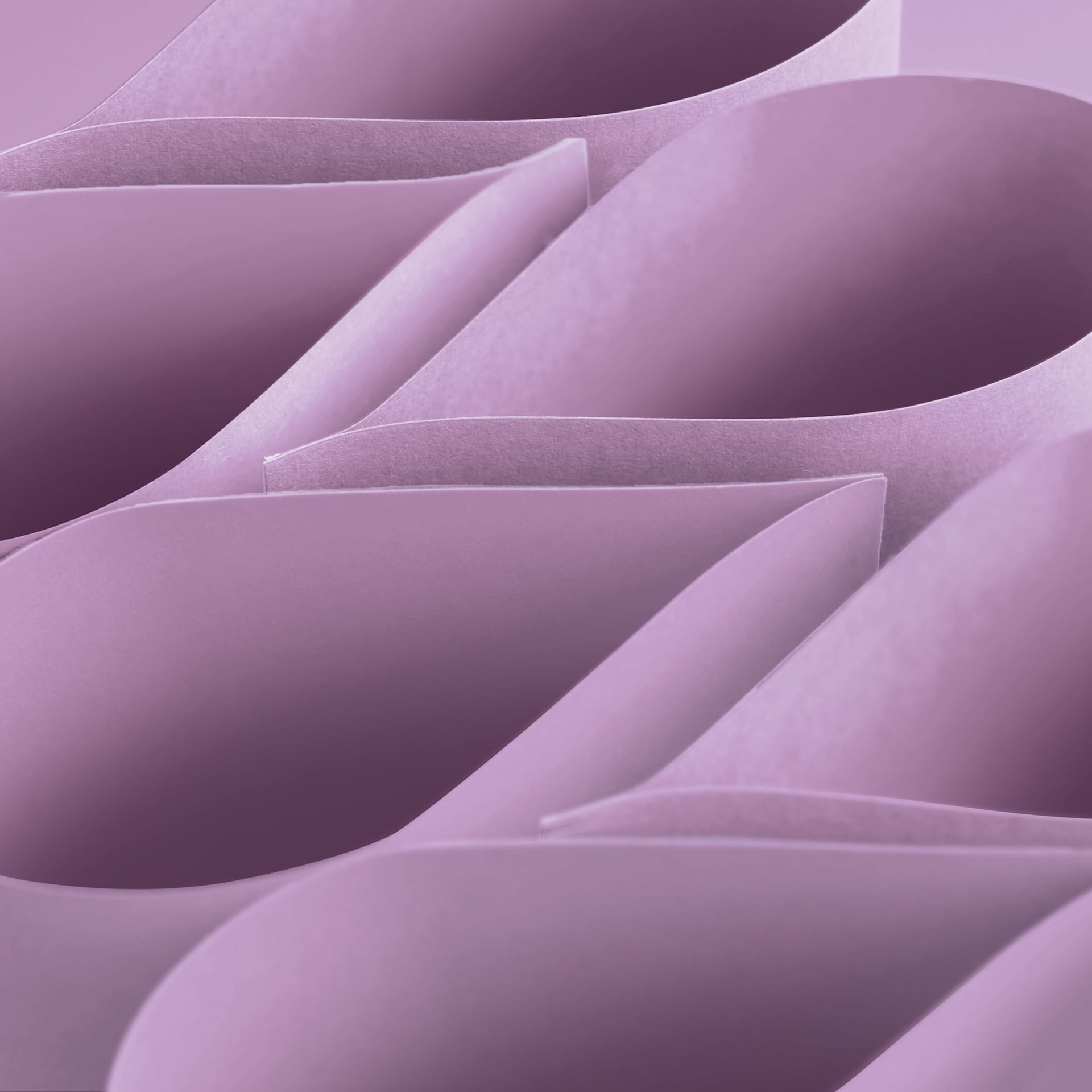 Blick Premium Construction Paper - 19-1/2" x 27-1/2", Lilac, Single Sheet, curved sheets