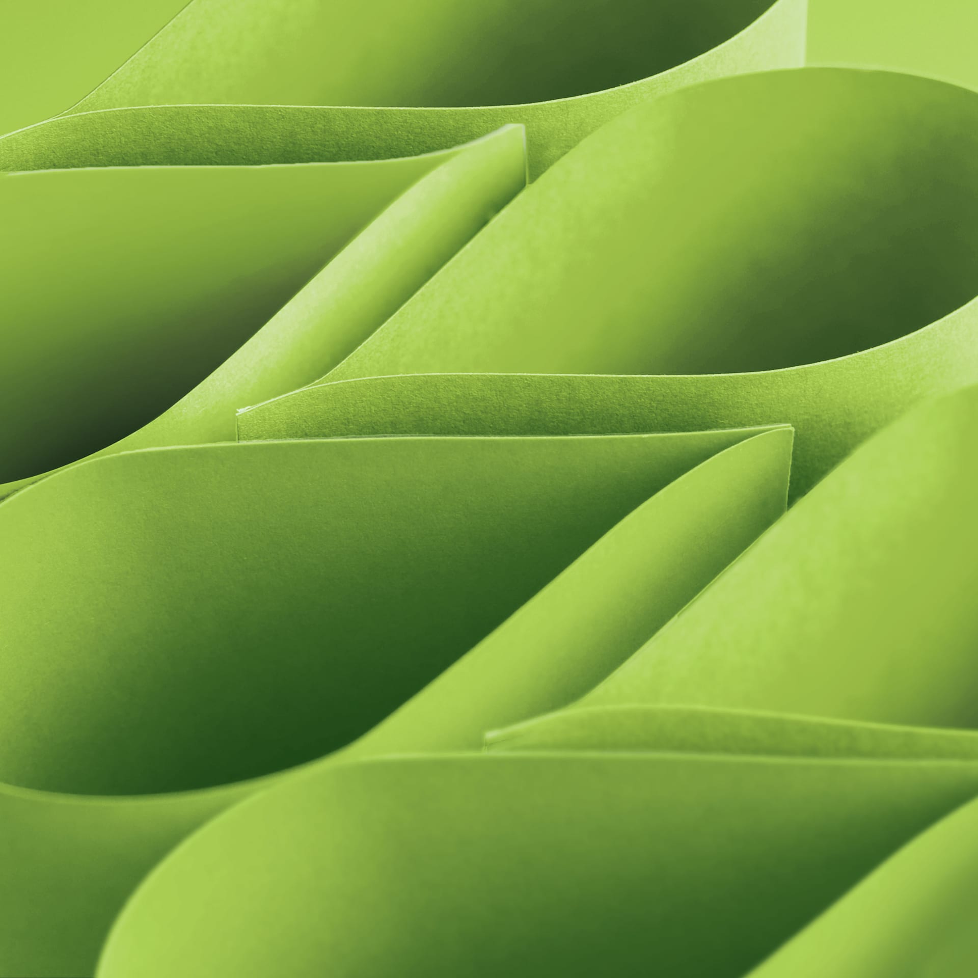 Blick Premium Colored Art Paper - 12" x 18", Lime, 50 Sheets, curved sheets