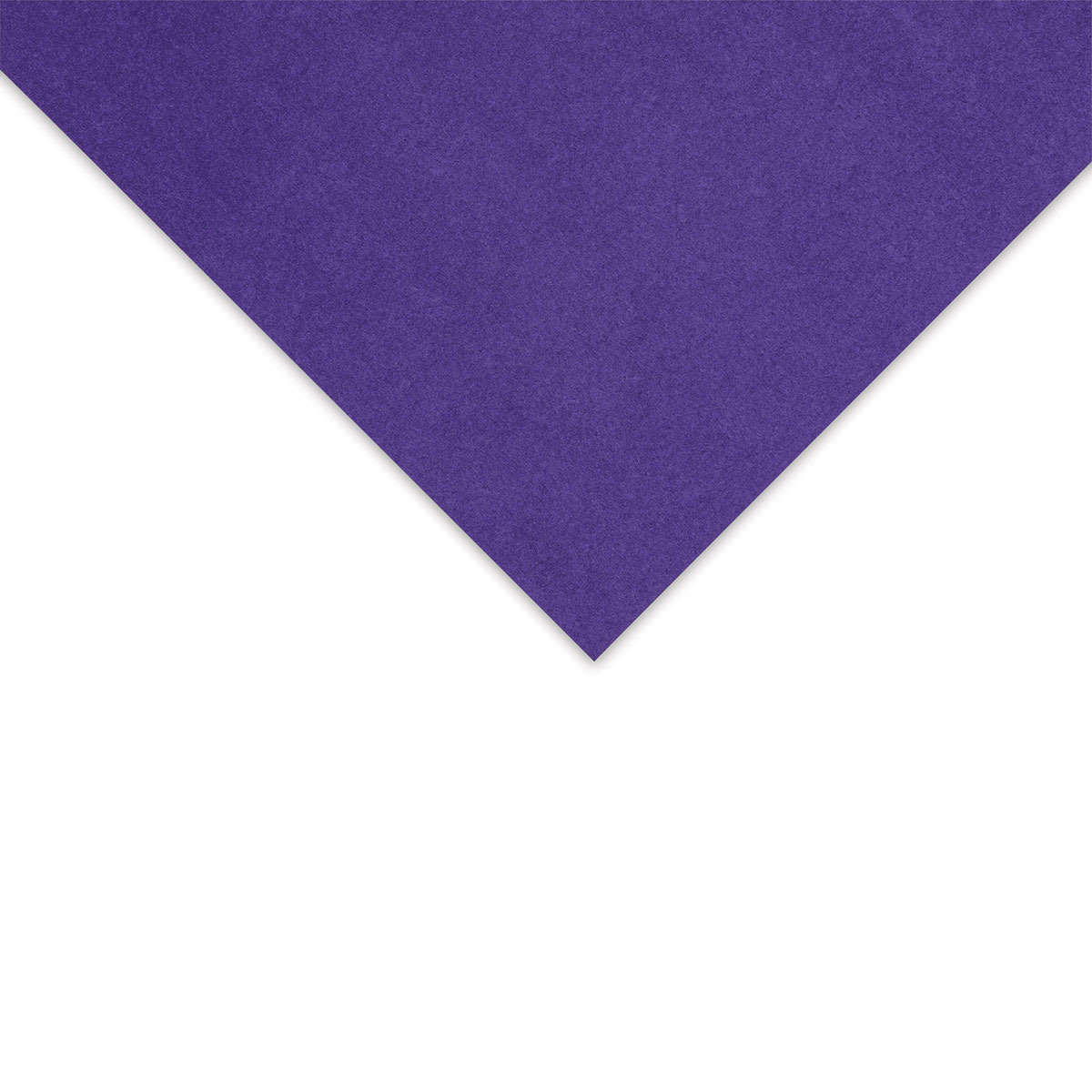 CANFORD CARD !3 ROYL PRPL 300GSM EA
