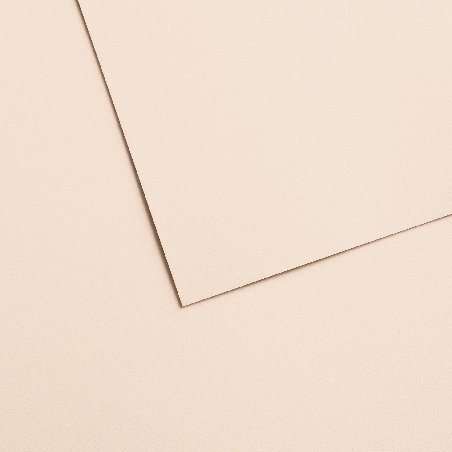Canson Mi-Teintes Velvet Sheet - 19.5" x 25.5", 602 Powder Beige, 430 gsm, Single Sheet
