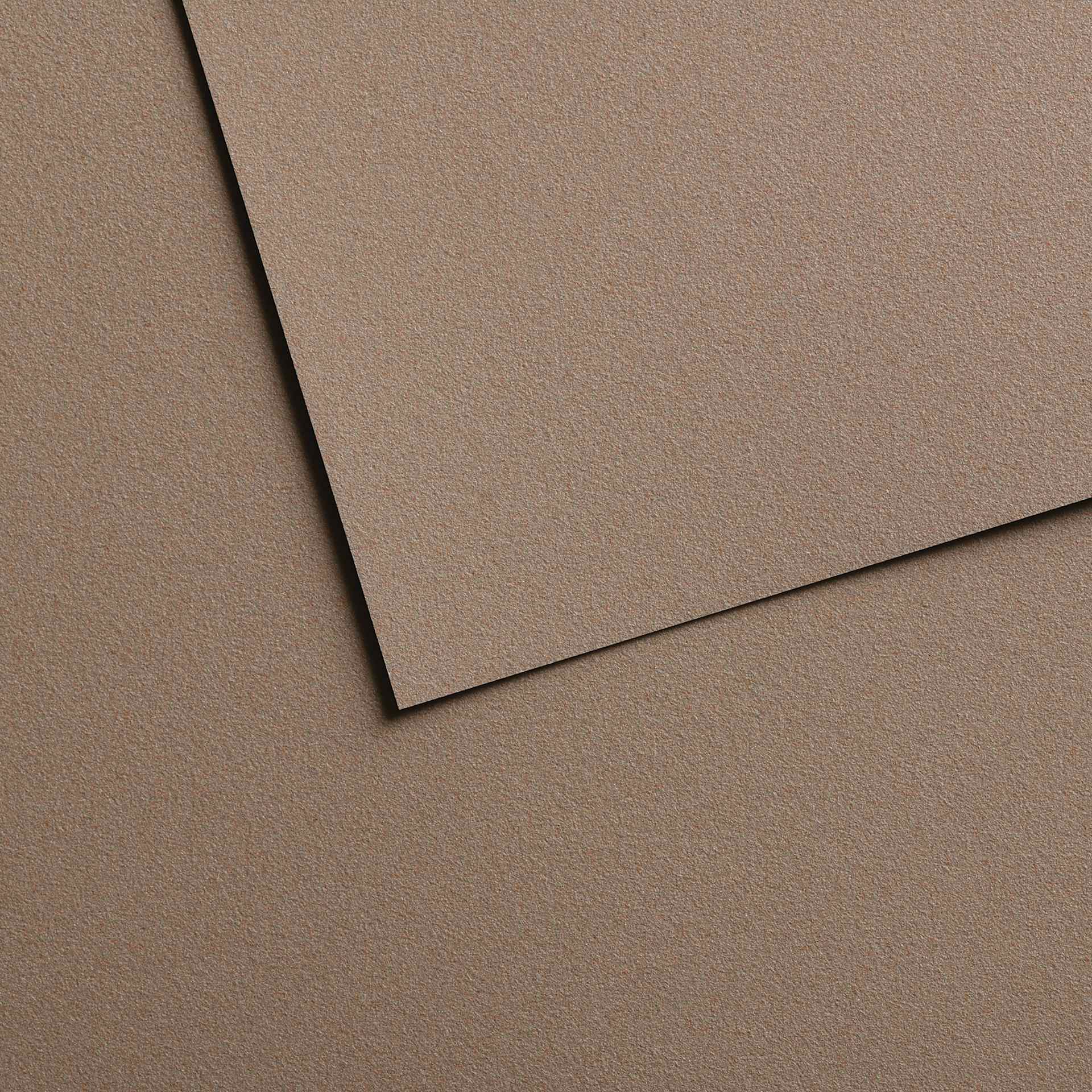 Canson Mi-Teintes Velvet Sheet - 19.5" x 25.5", 613 Grey Brown, 430 gsm, Single Sheet