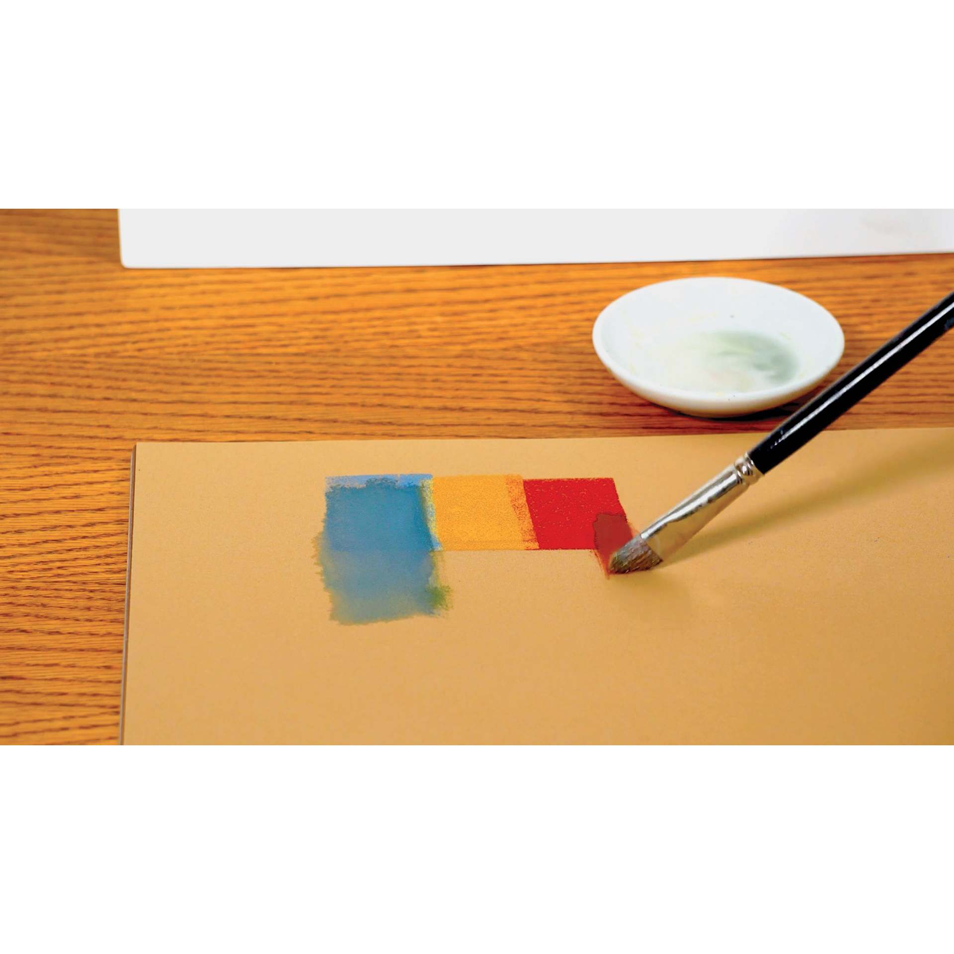 Canson Mi-Teintes Velvet Paper, paint on sheet