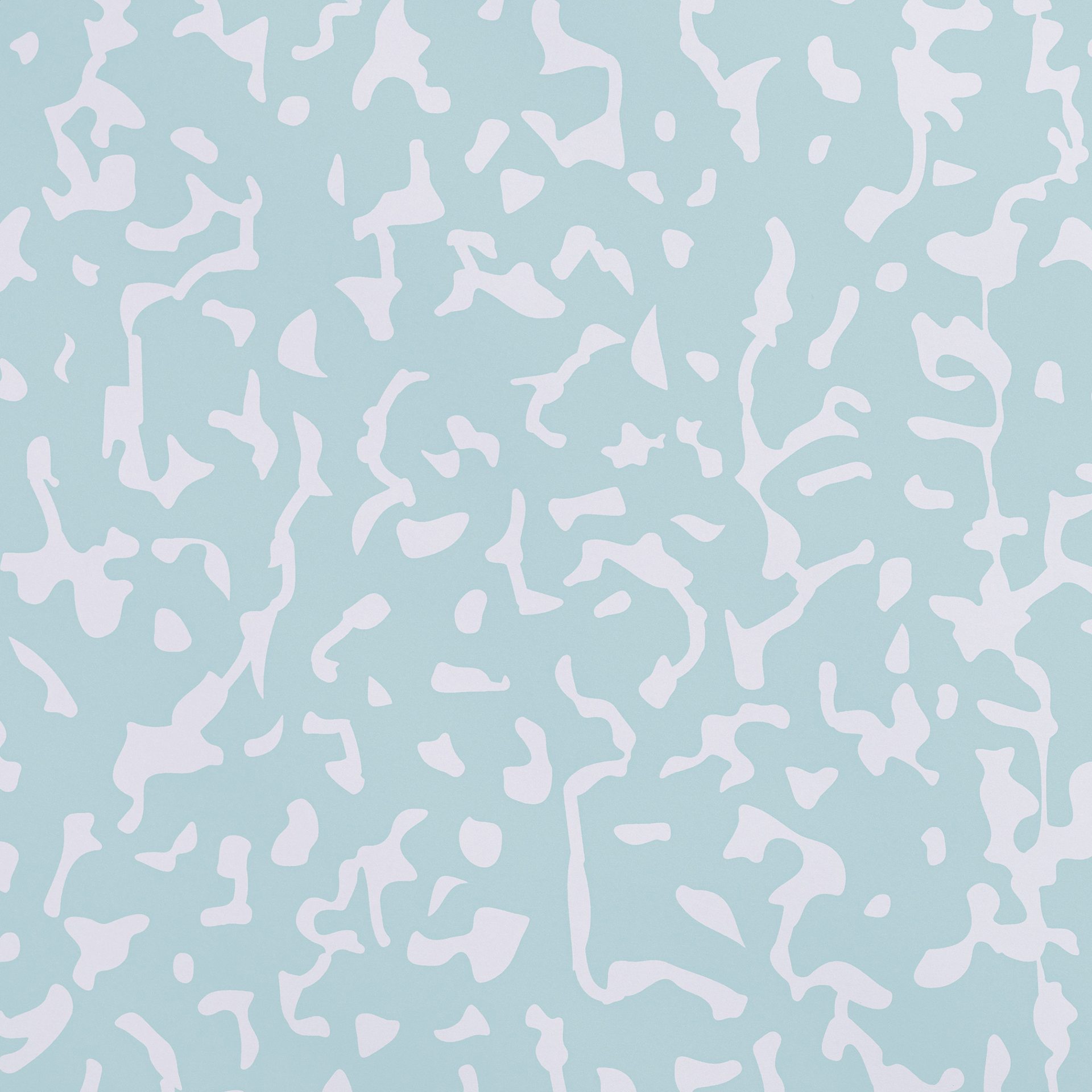 Fadeless Schoolgirl Style Bulletin Paper - Sophomore Year