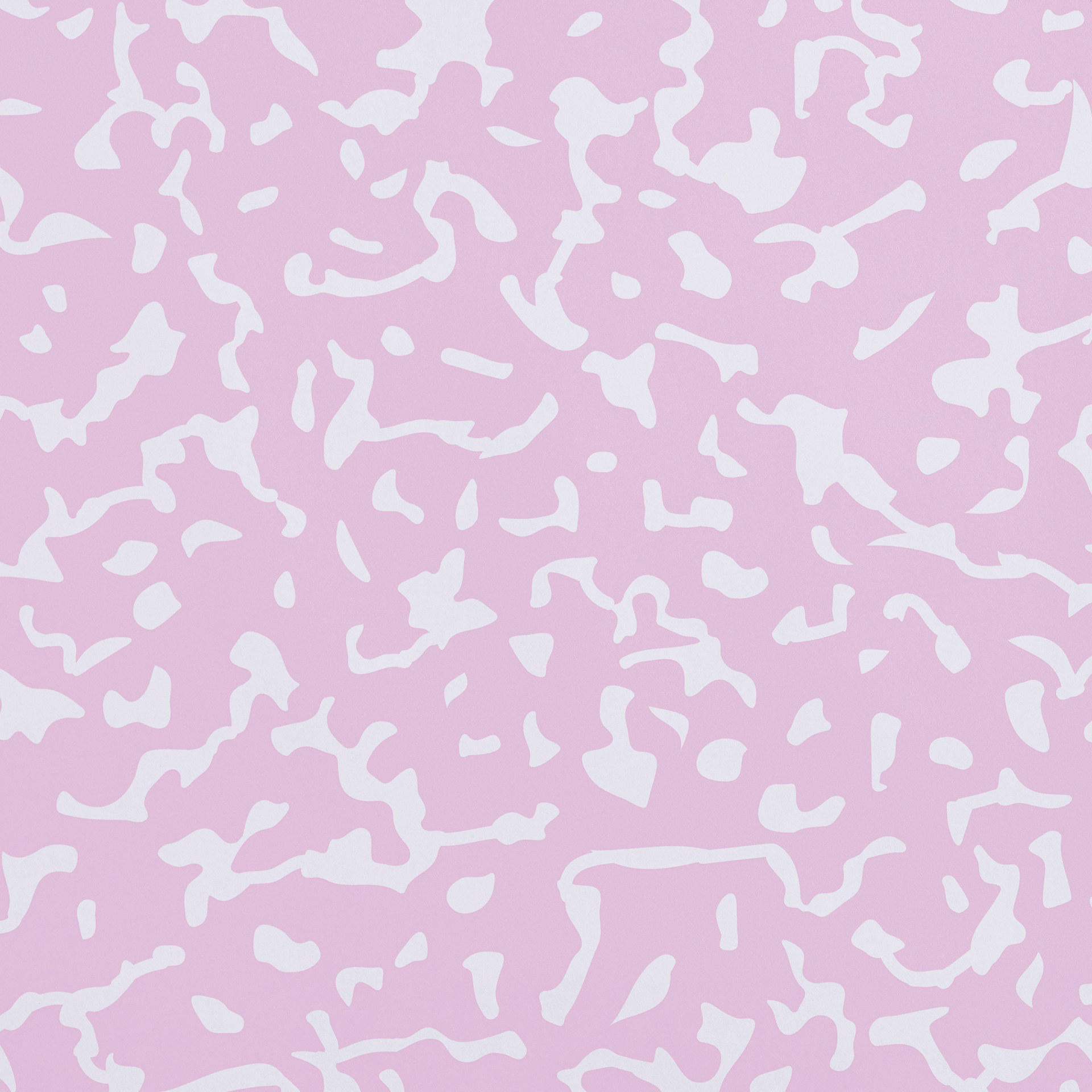  Fadeless Schoolgirl Style Bulletin Paper - Junior Year