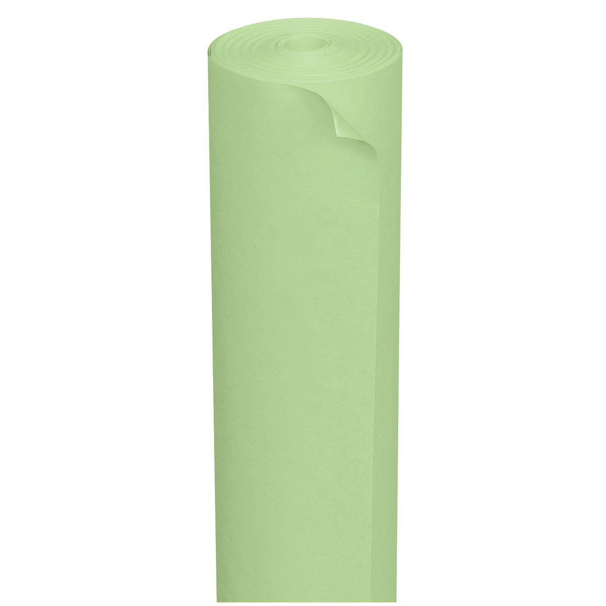 ArtKraft Duo-Finish Art Paper - 48" x 200 ft, Light Green
