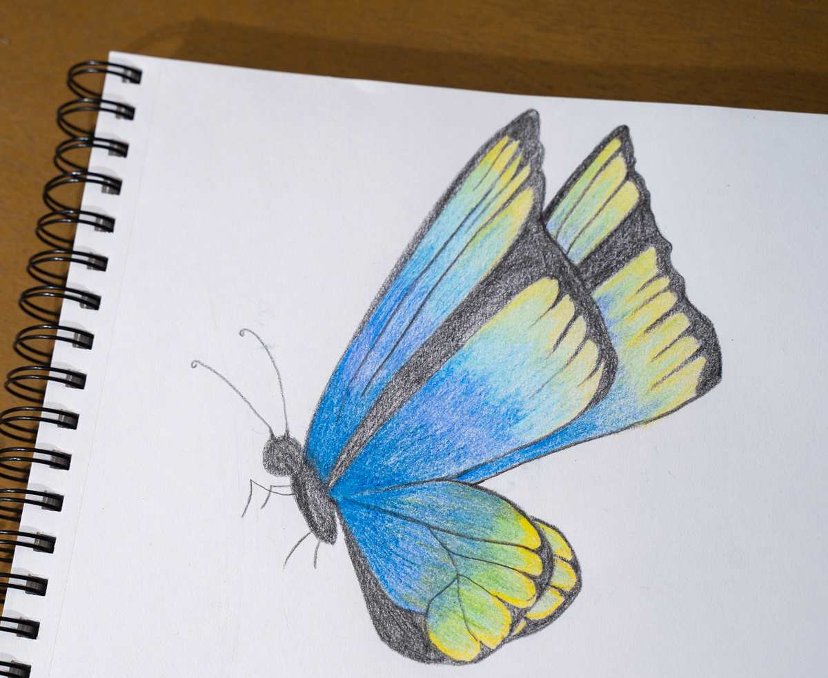 Art Alternatives Spiral-Bound Sketch Book, 9 in x 12 in