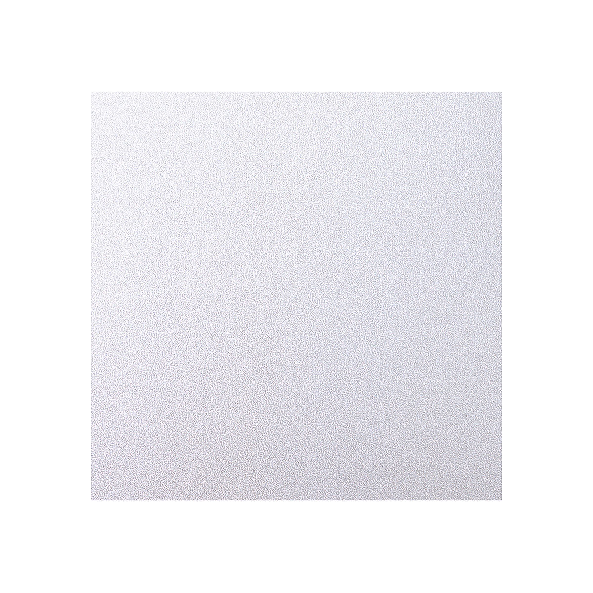 Digital Photo Cards, Pkg of 10