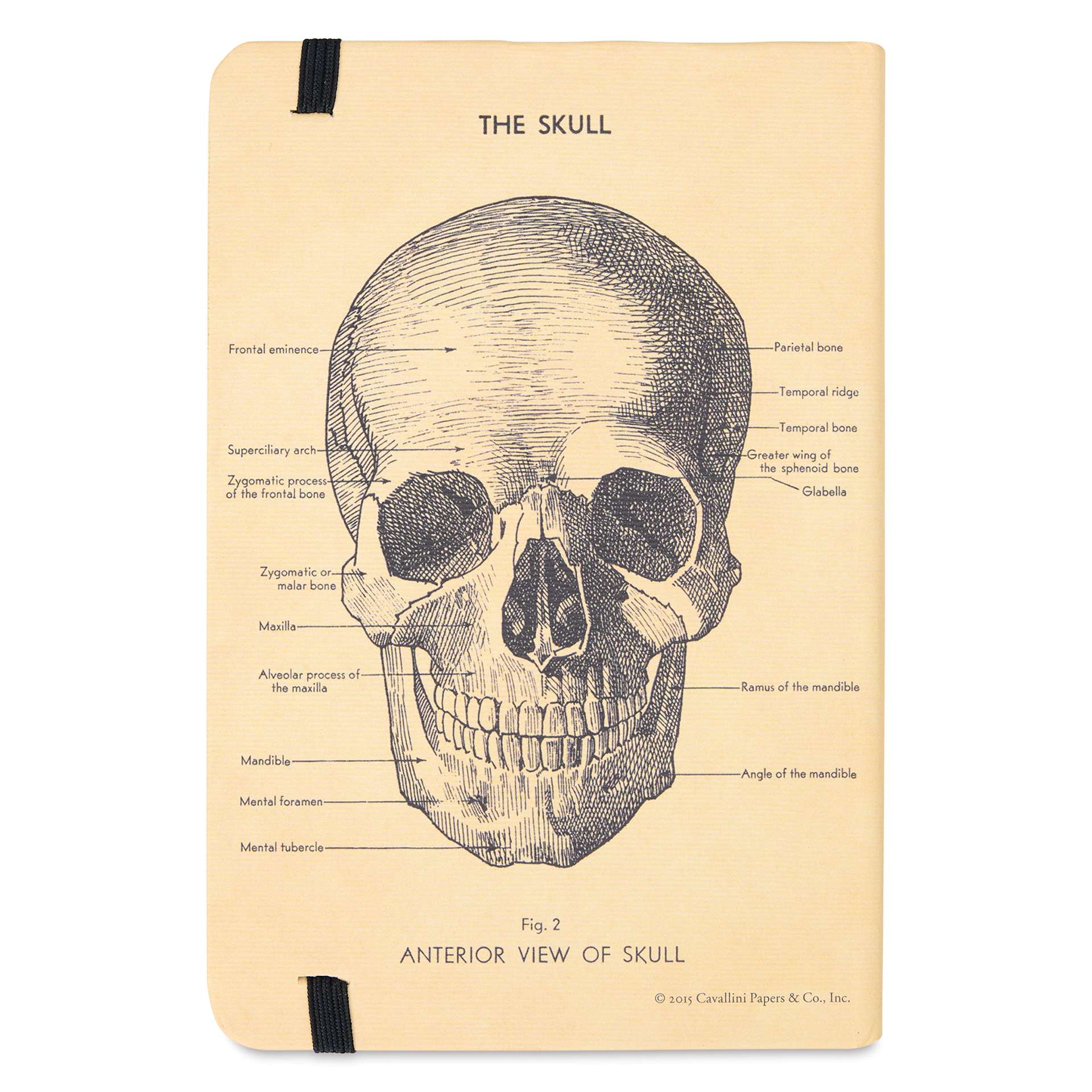 Cavallini Skull Small Notebook, back of notebook