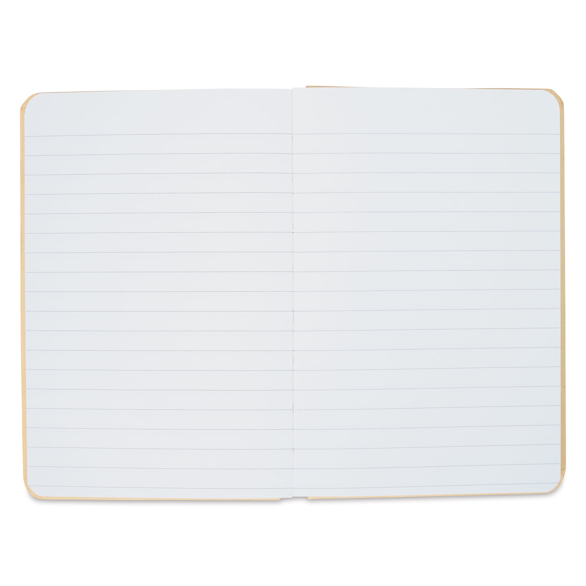 Cavallini Skull Small Notebook, open notebook