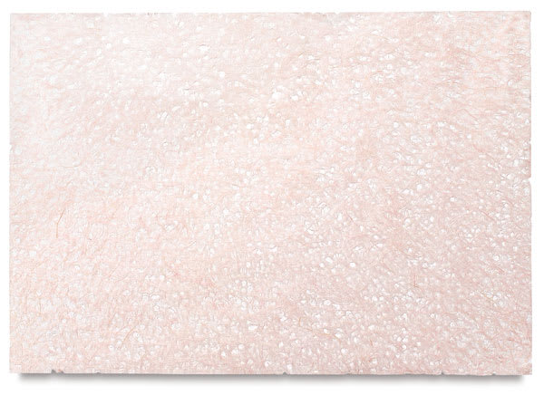 Black Ink Japanese Ogura Lace Papers - Top view of Blush sheet