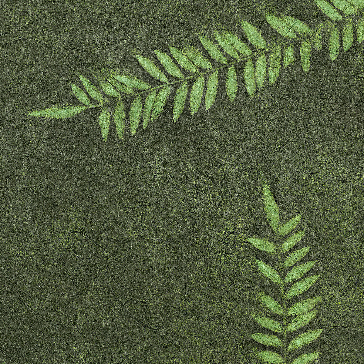 Sunwashed Nepalese Lokta Paper - Closeup of Green/Forest paper showing leaf detail