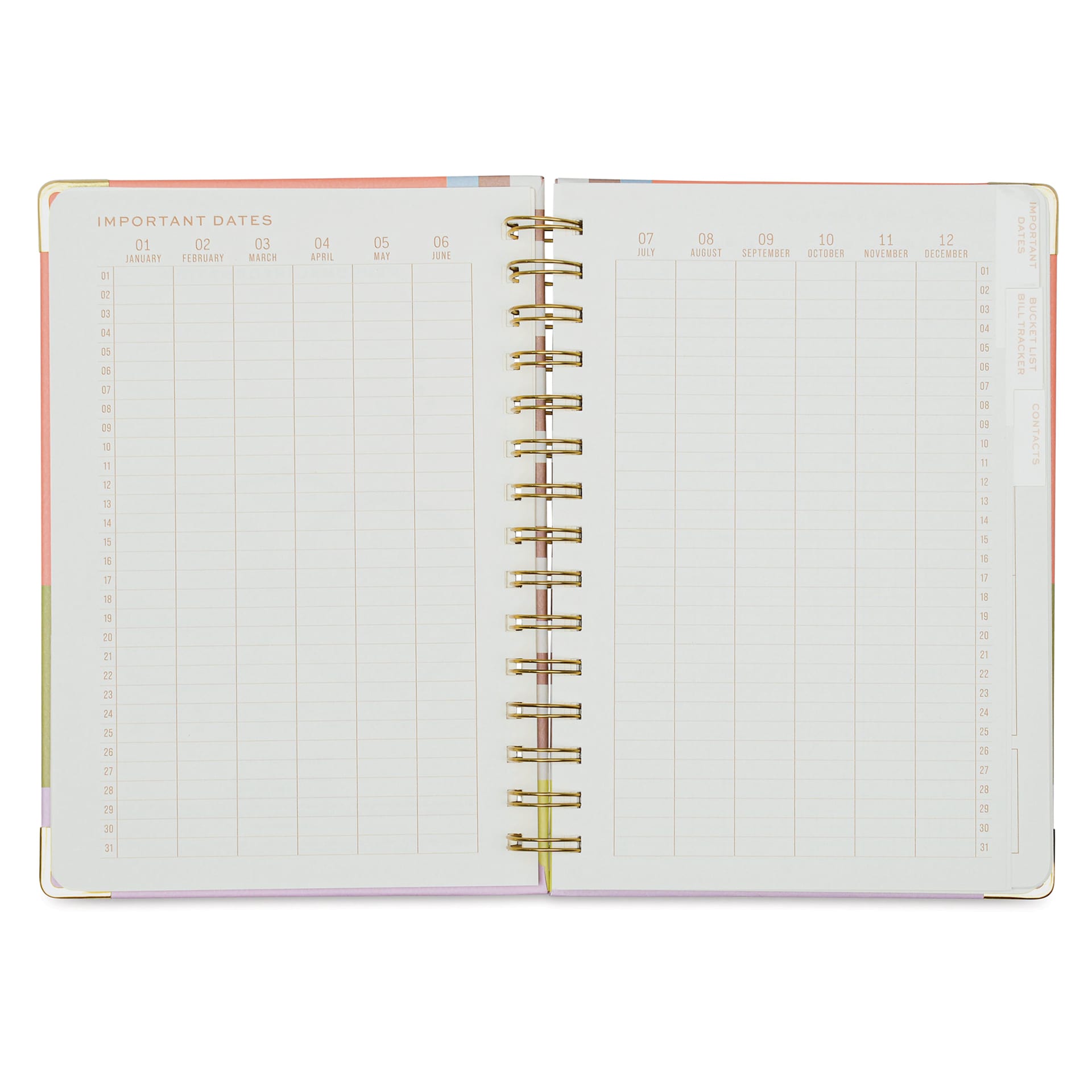 DesignWorks Ink Undated 13-month Perpetual Planner - Geometry, 6-1/4" x 8-1/4", important dates page