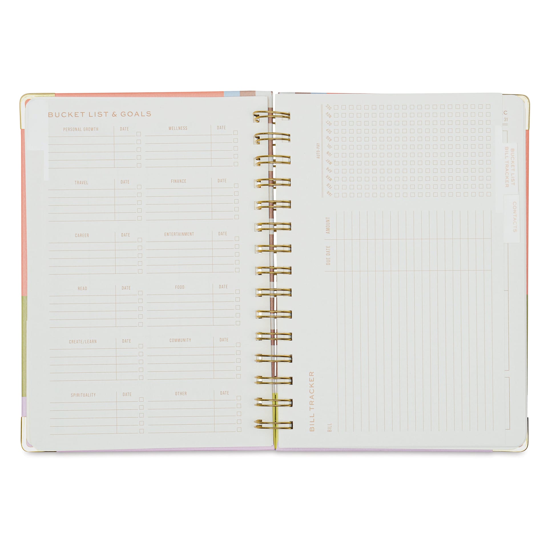 DesignWorks Ink Undated 13-month Perpetual Planner - Geometry, 6-1/4" x 8-1/4", bucket list & goals page