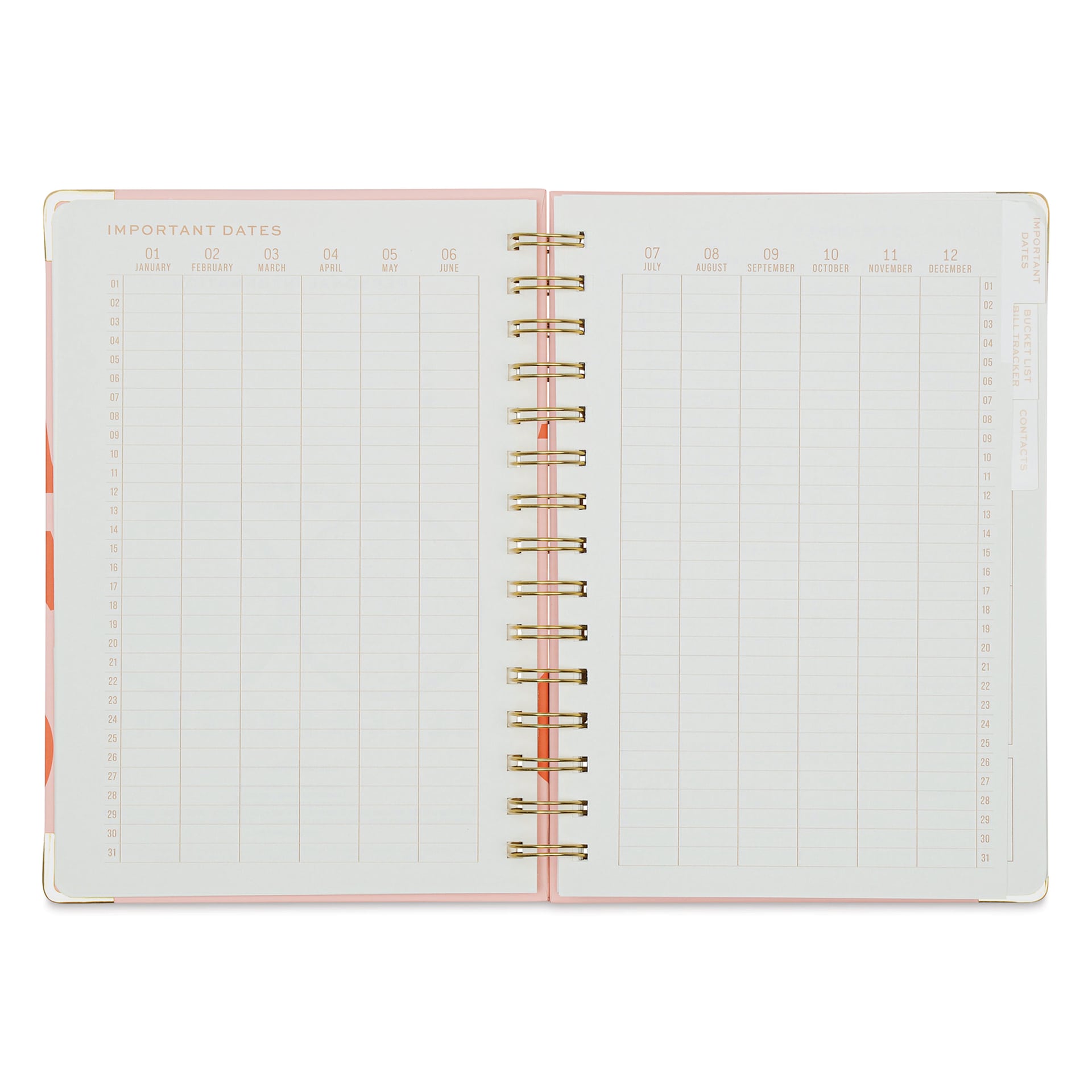 DesignWorks Ink Undated 13-month Perpetual Planner - Plans, 6-1/4" x 8-1/4", important dates