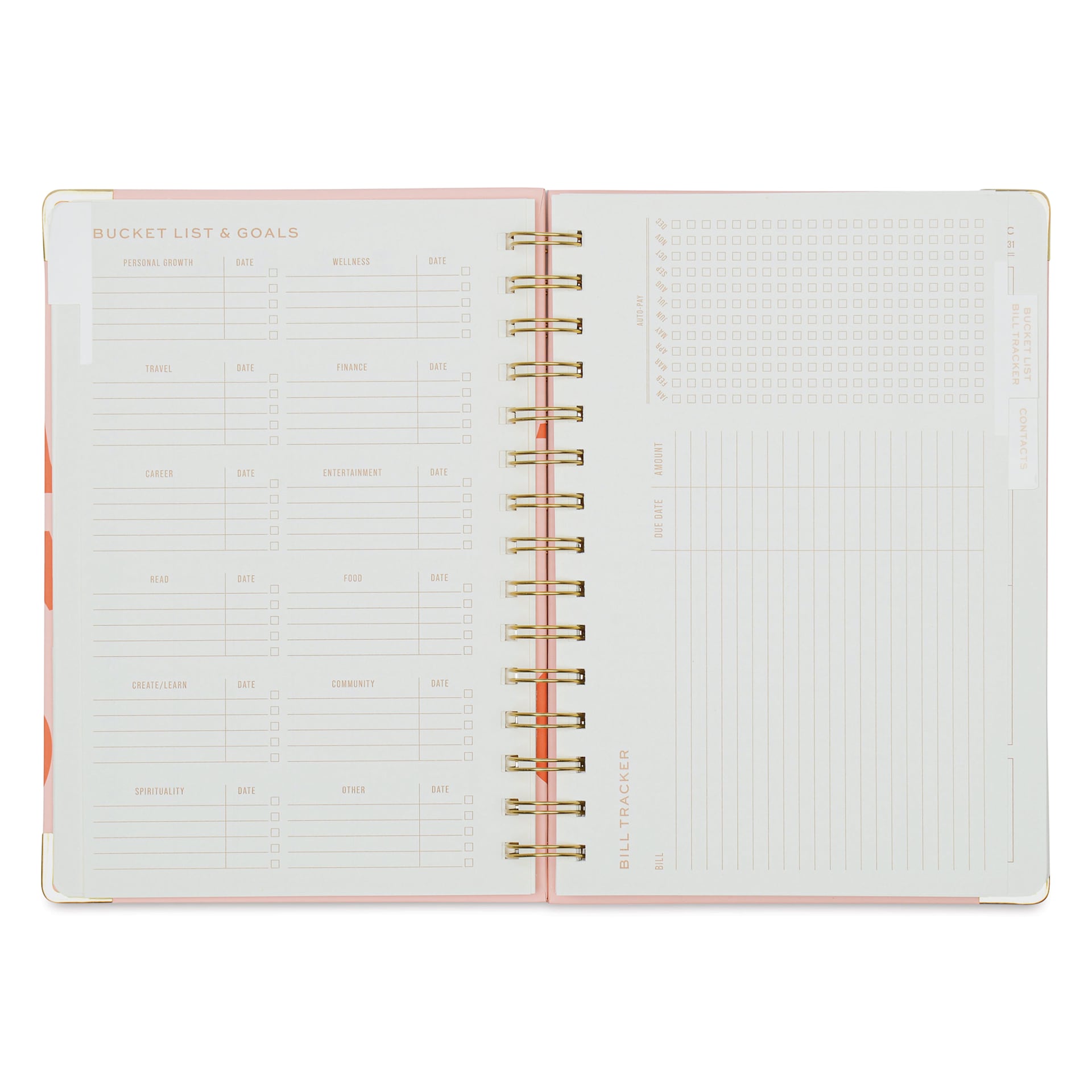DesignWorks Ink Undated 13-month Perpetual Planner - Plans, 6-1/4" x 8-1/4", bucket list & goals page