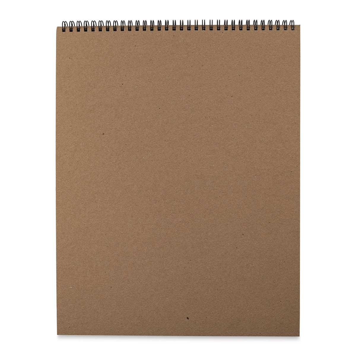 Bee Paper Co-Mo Sketch Pad - 11" x 14", 30 Sheets