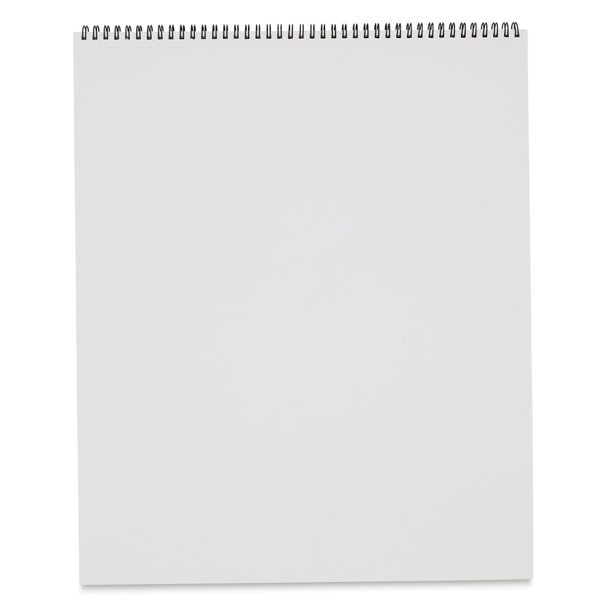 Bee Paper Co-Mo Sketch Pad - 14" x 17", 30 Sheets