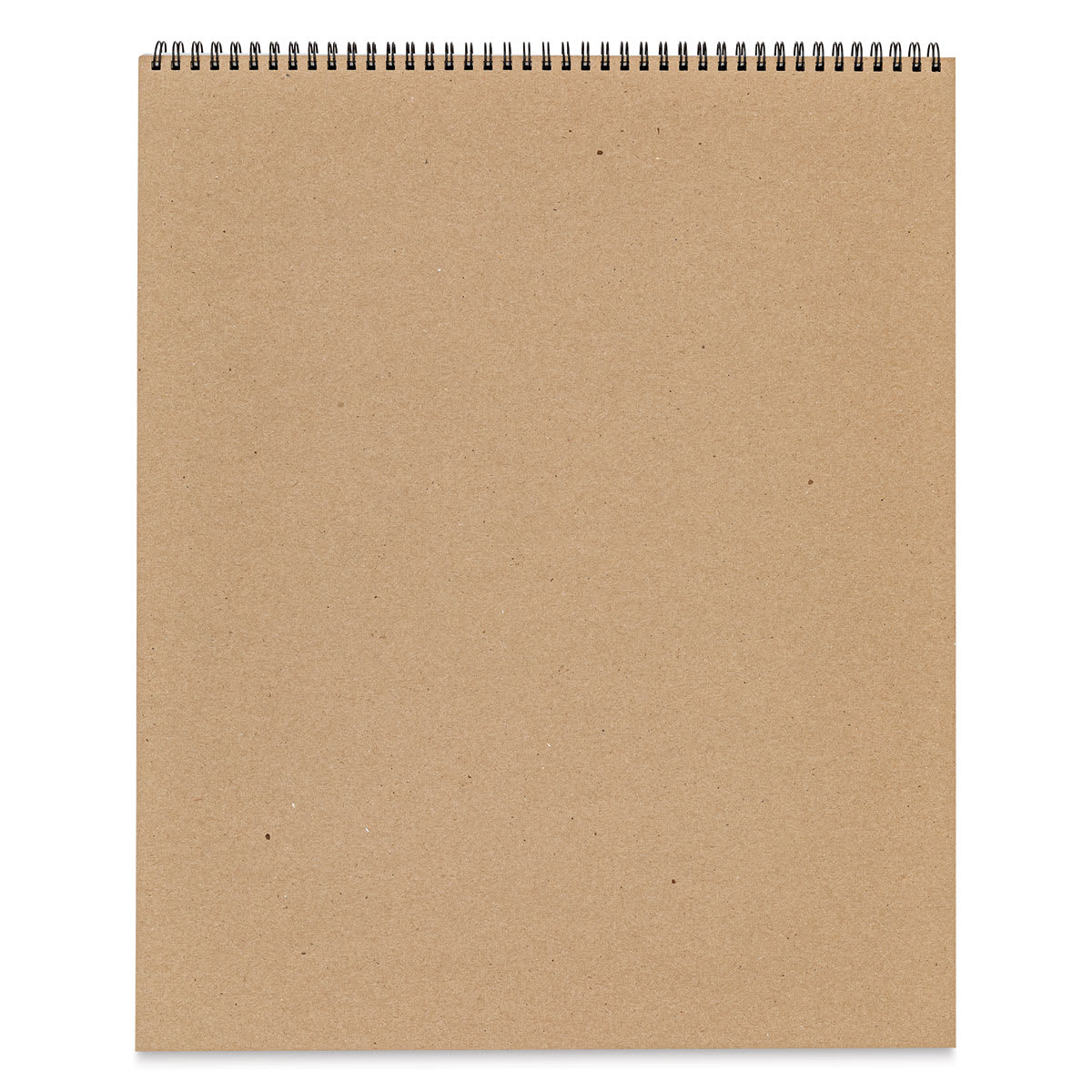 Bee Paper Co-Mo Sketch Pad - 14" x 17", 30 Sheets
