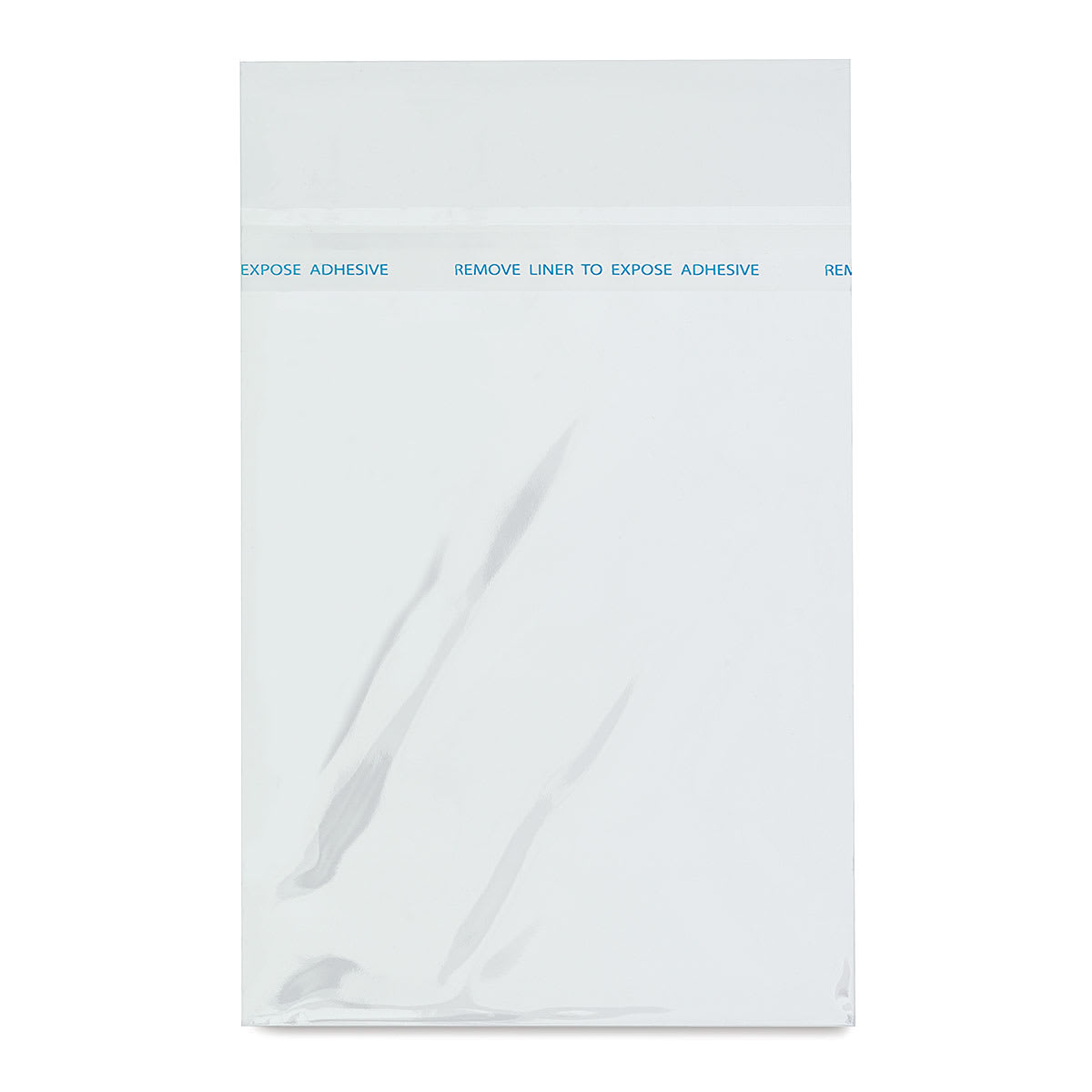 Strathmore Clear Plastic Sleeves - Single Plastic Sleeve shown