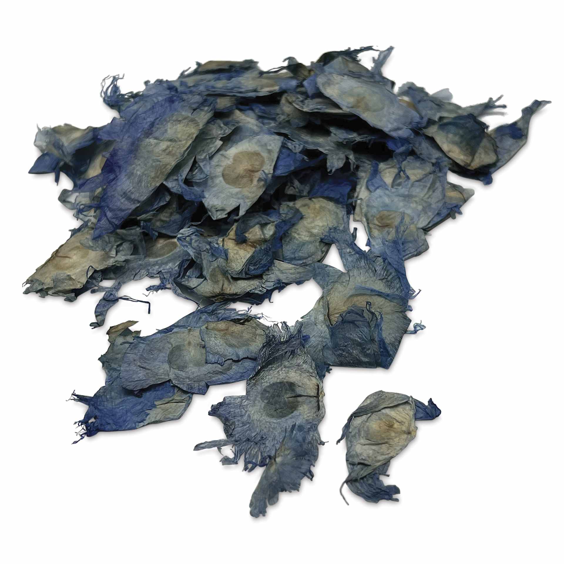 Arnold Grummer’s Botanical Paper Making Additives and Inclusions - Angel Wings, Blue, 0.5 oz