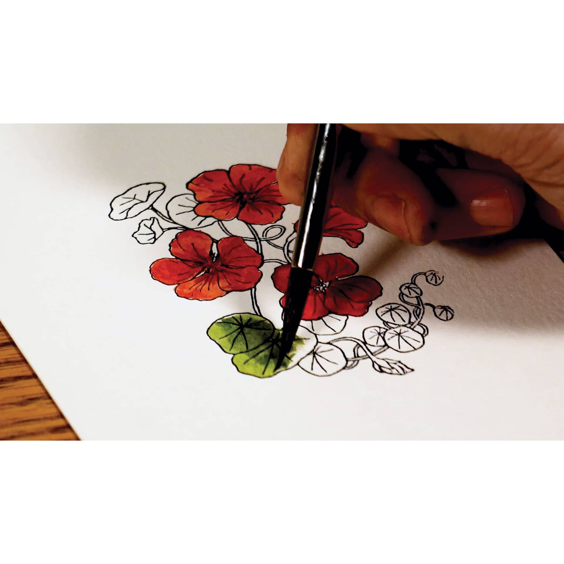Strathmore Creative Cards and Envelopes, flower artwork in progress