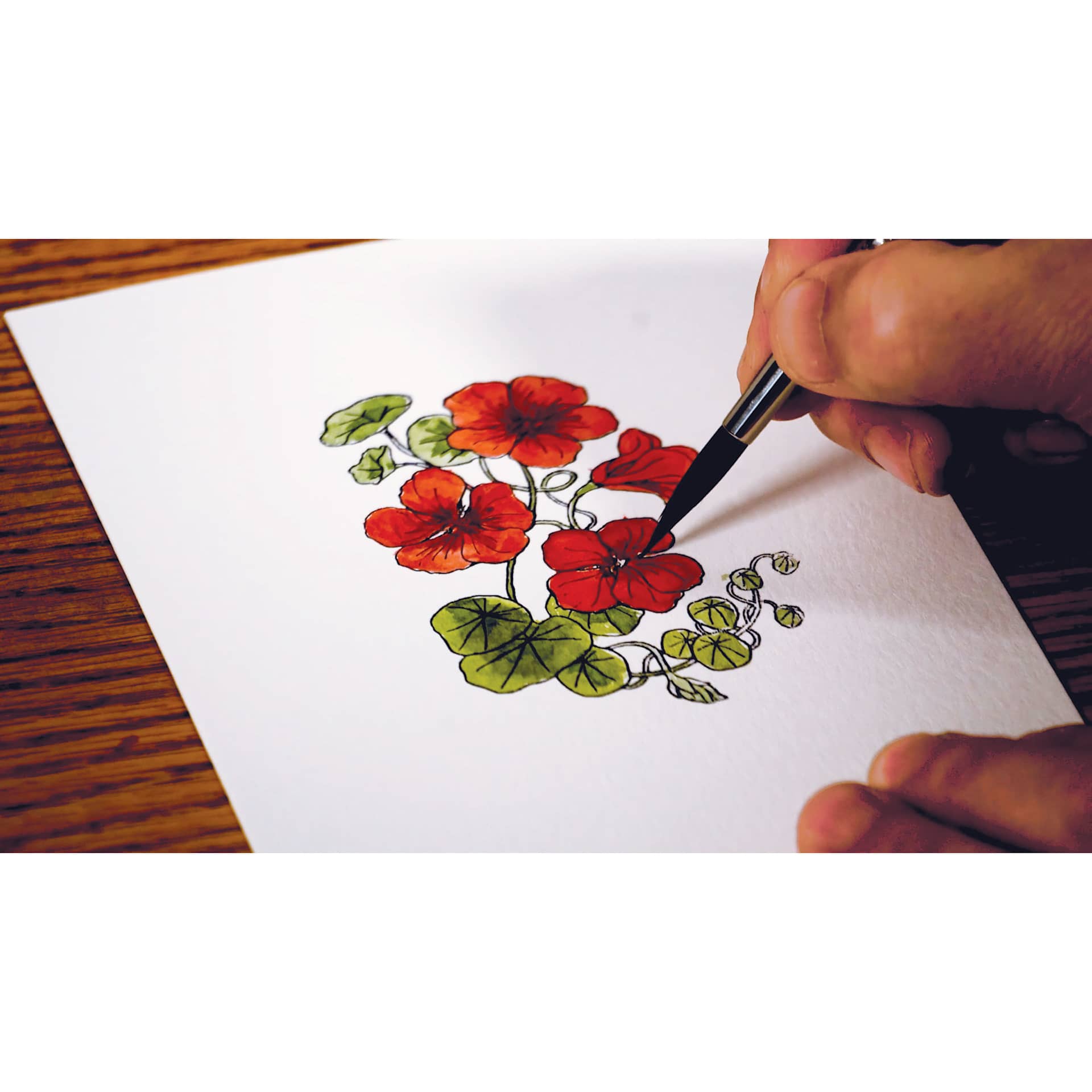 Strathmore Creative Cards and Envelopes, flower artwork