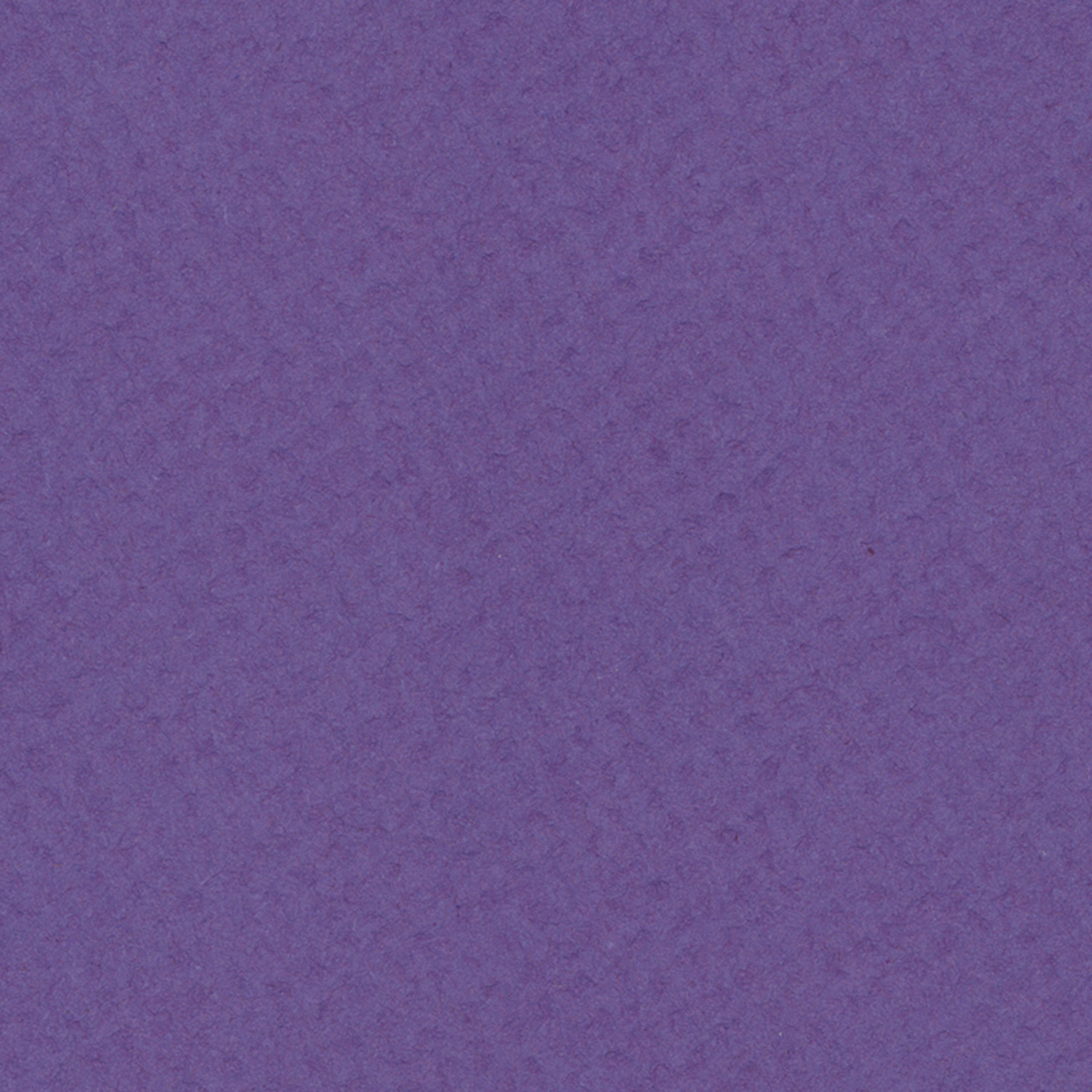 Crescent Berkeley White Core Matboard - 32" x 40", Purple Iris, close up