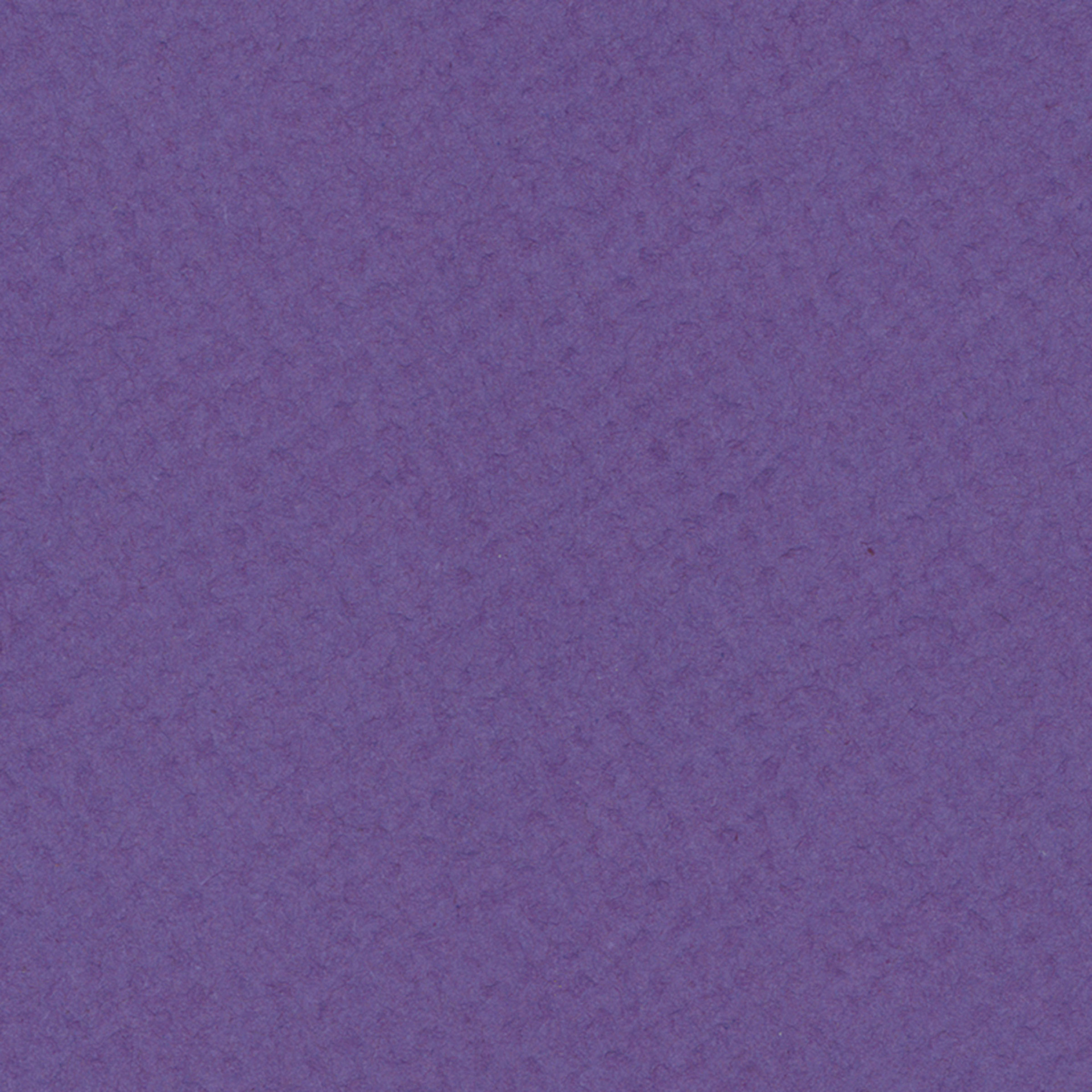 Crescent Berkeley Cream Core Matboard - 32" x 40", Purple Iris, close up