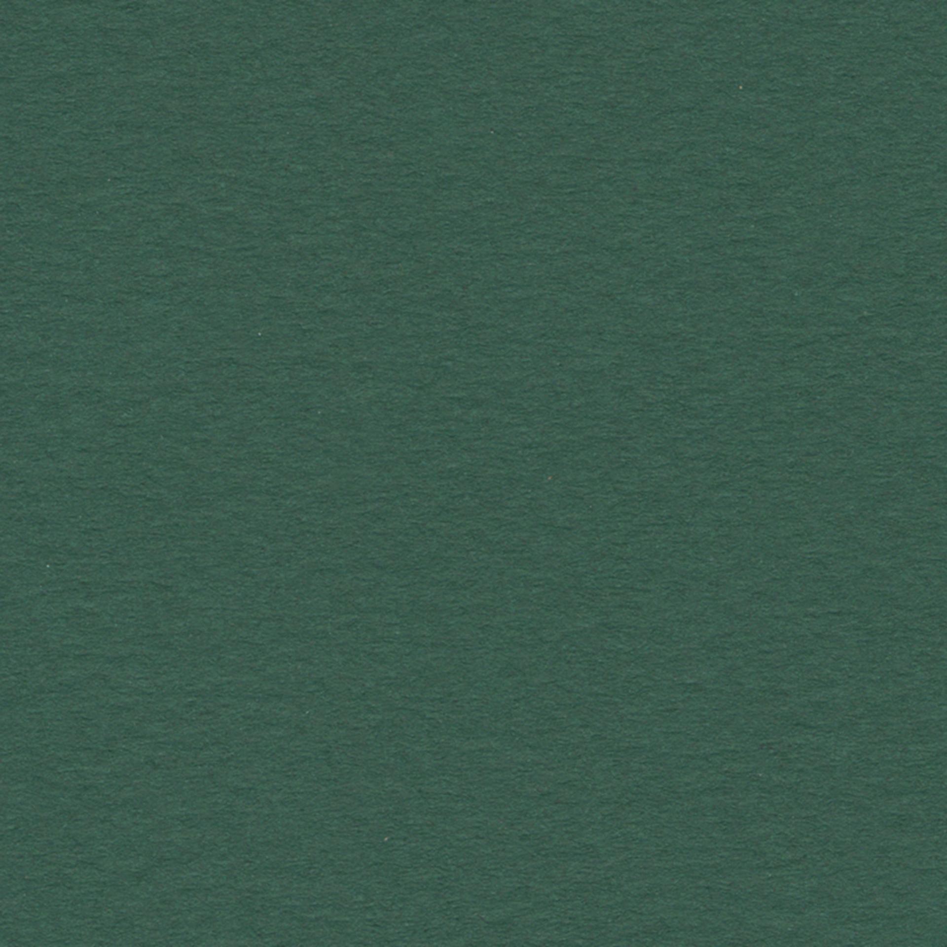 Crescent Berkeley White Core Matboard - 32" x 40", Forest Shadow, close up