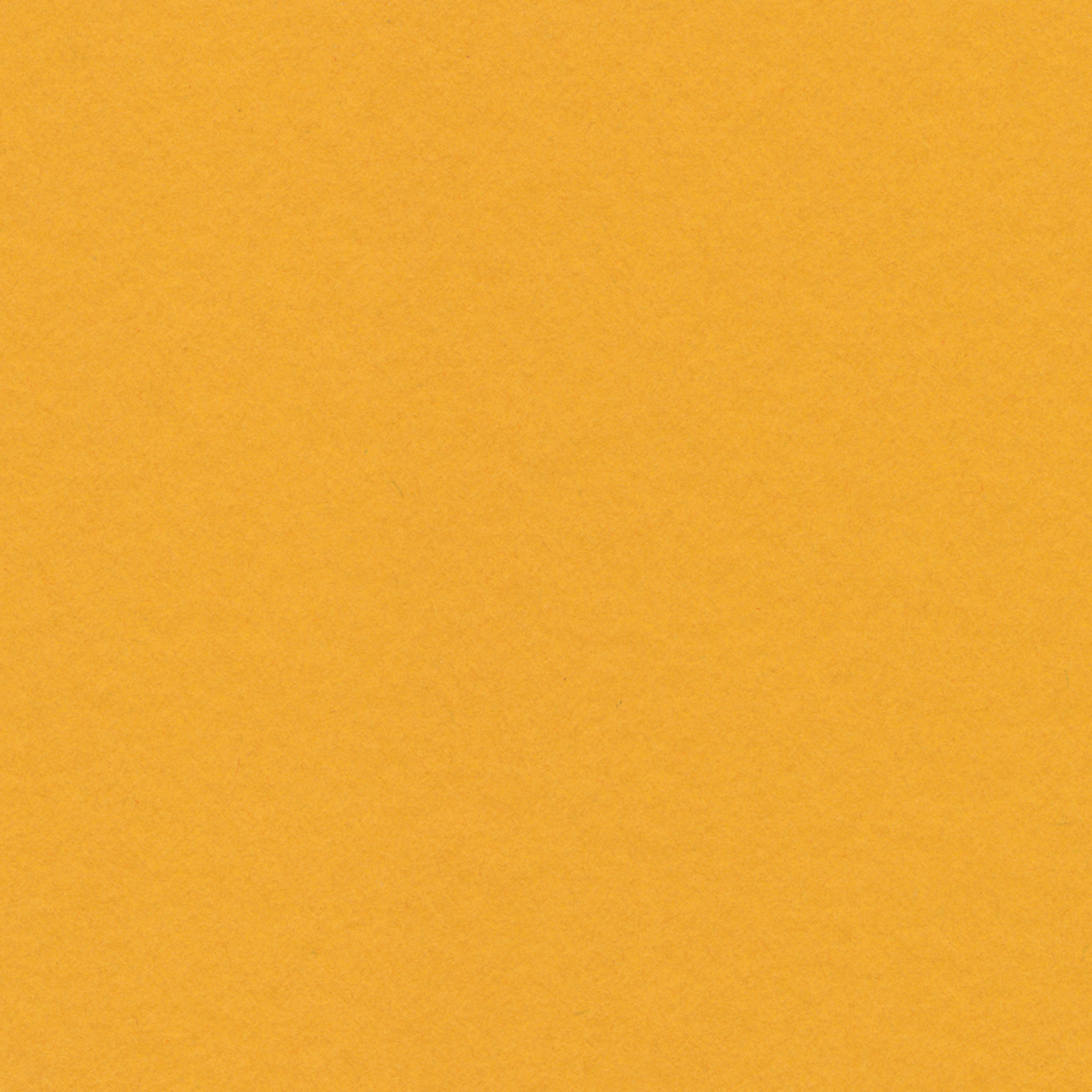 Crescent Berkeley White Core Matboard - 20" x 32", Golden, close up
