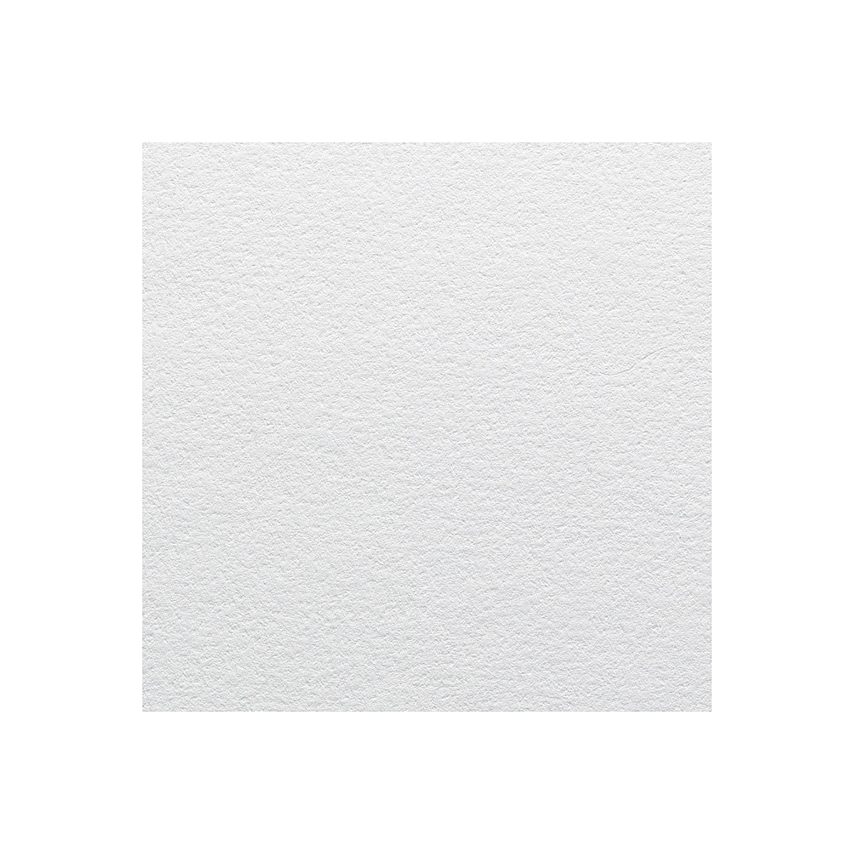 Canson Edition Art Board - Single sheet shown
