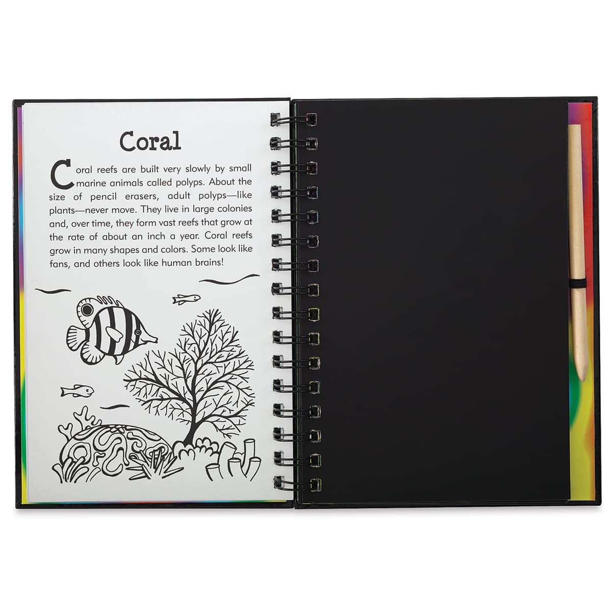 Scratch and Sketch Art Activity Books
